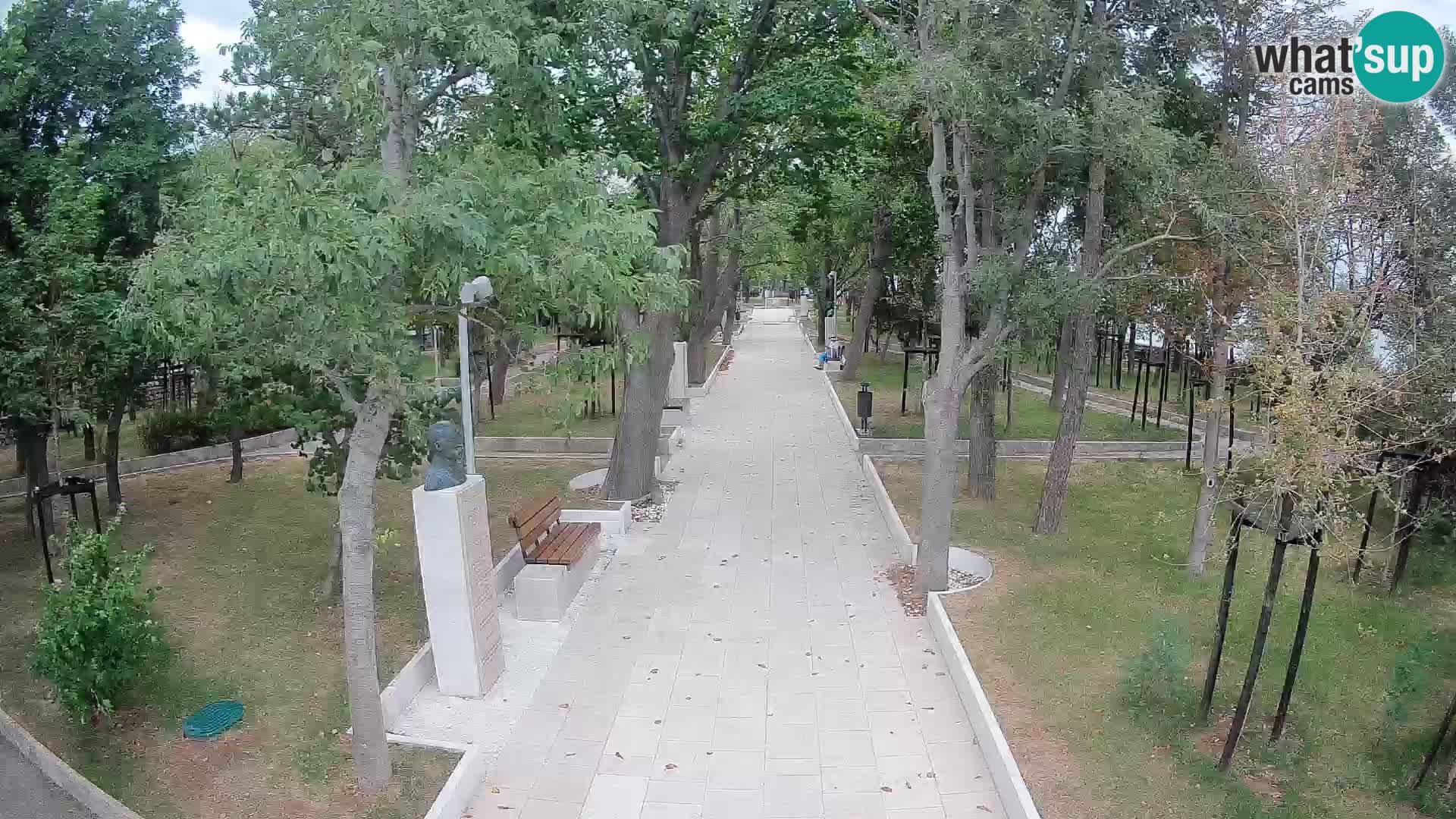 Webcam Parco degli Scrittori Segna – Diretta sul Mare