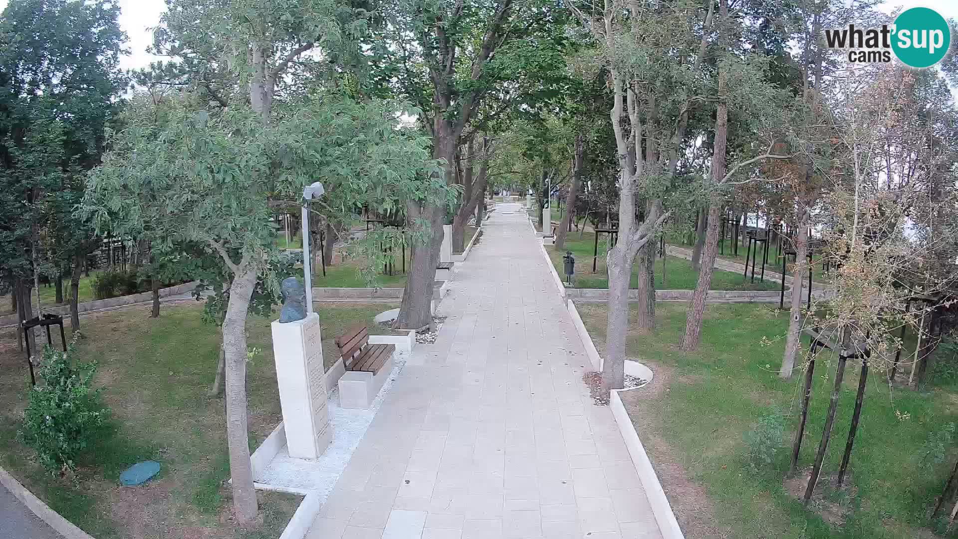 Webcam Parco degli Scrittori Segna – Diretta sul Mare