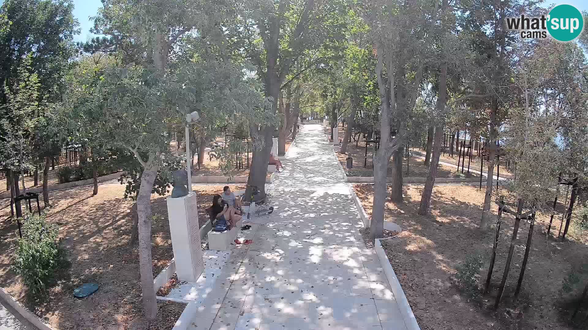 Webcam Parco degli Scrittori Segna – Diretta sul Mare