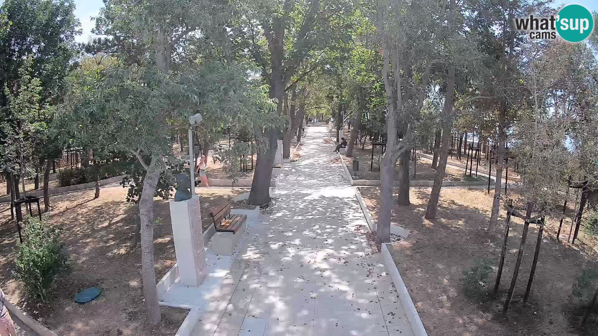 Webcam Parco degli Scrittori Segna – Diretta sul Mare