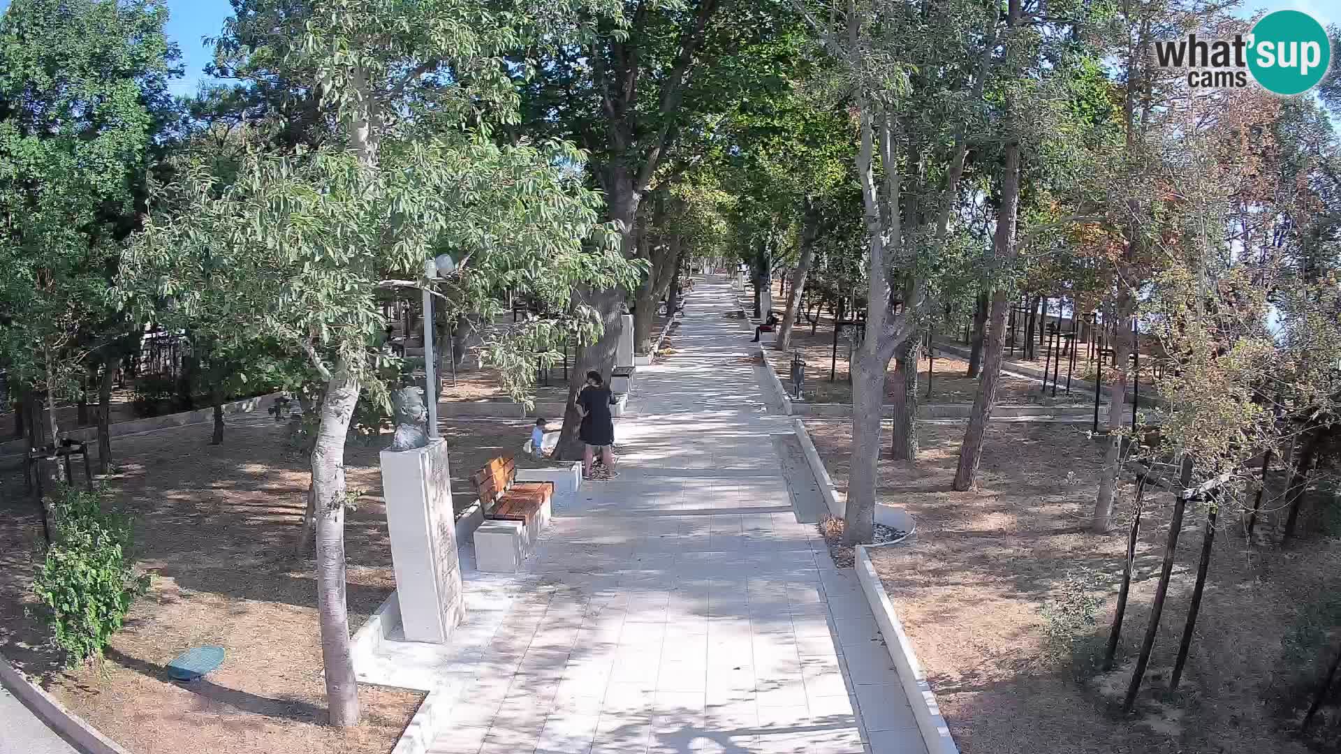 Webcam Parco degli Scrittori Segna – Diretta sul Mare