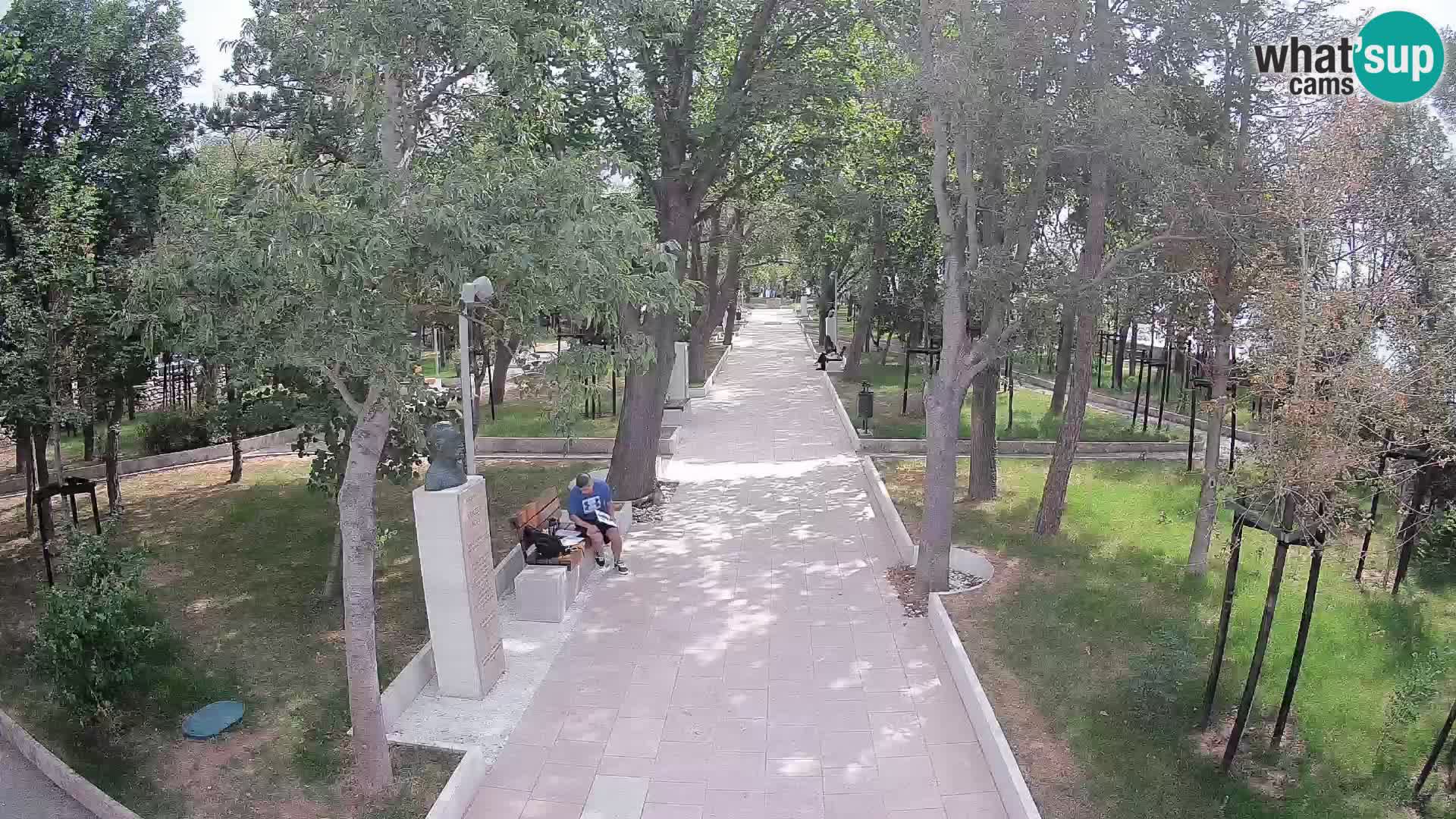 Webcam Parco degli Scrittori Segna – Diretta sul Mare