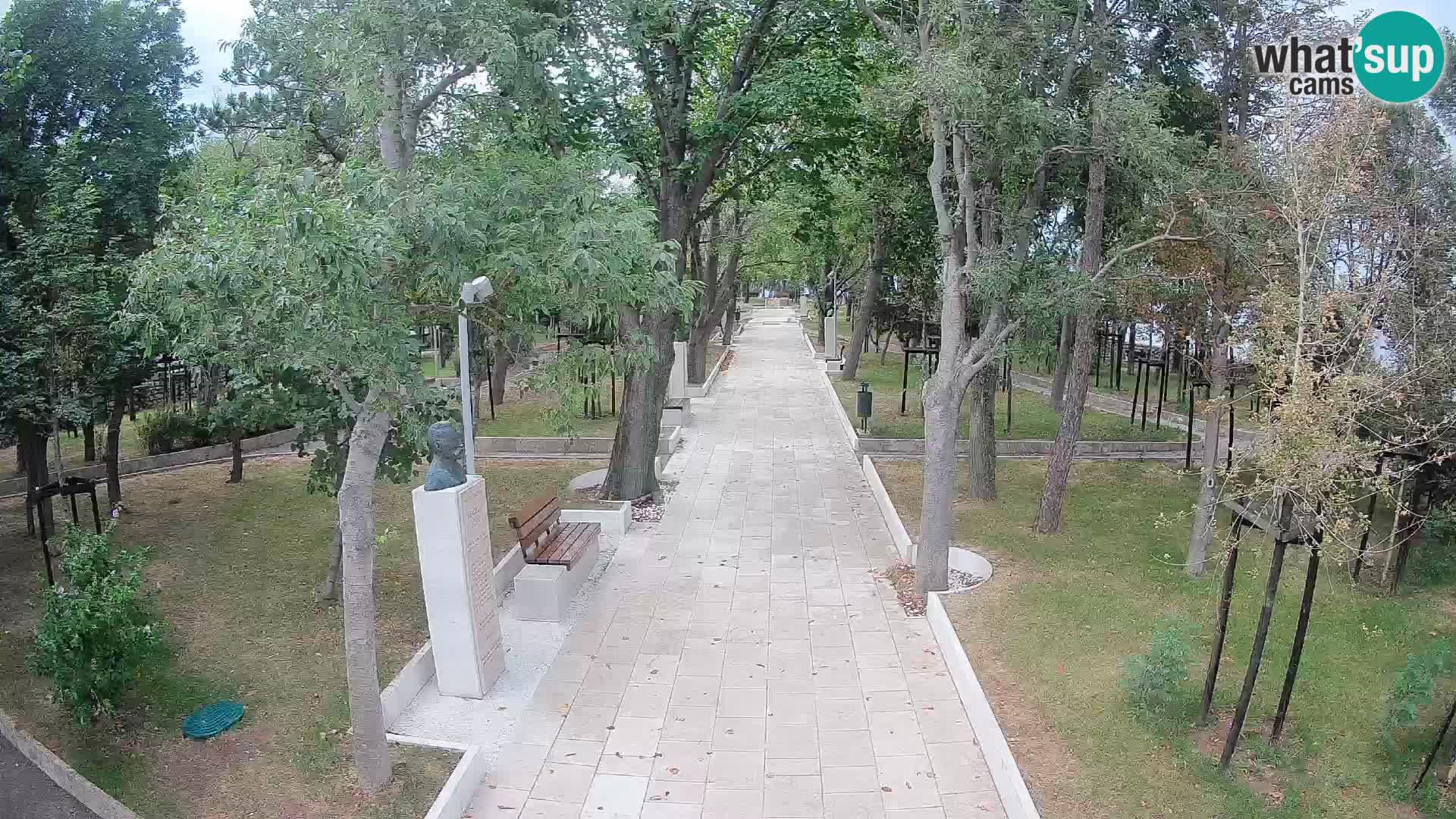 Webcam Parco degli Scrittori Segna – Diretta sul Mare