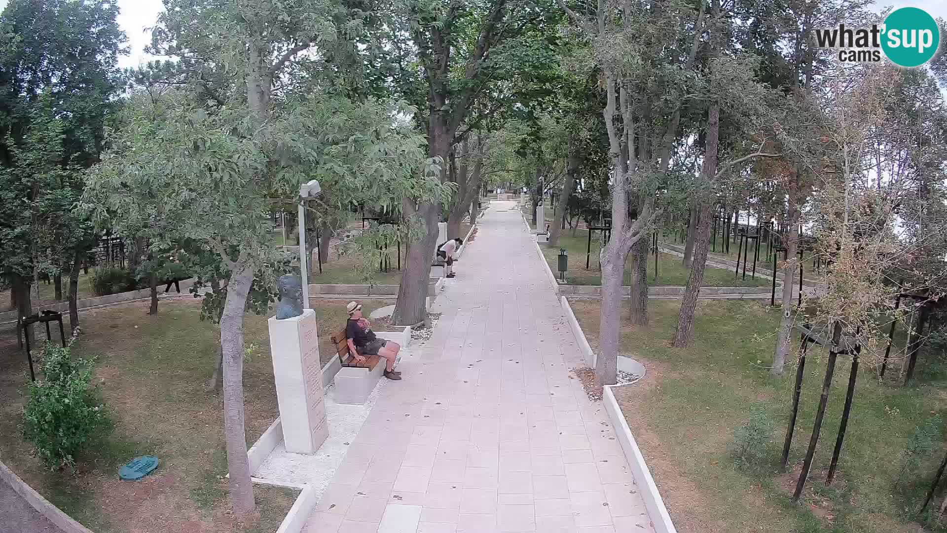 Webcam Parco degli Scrittori Segna – Diretta sul Mare