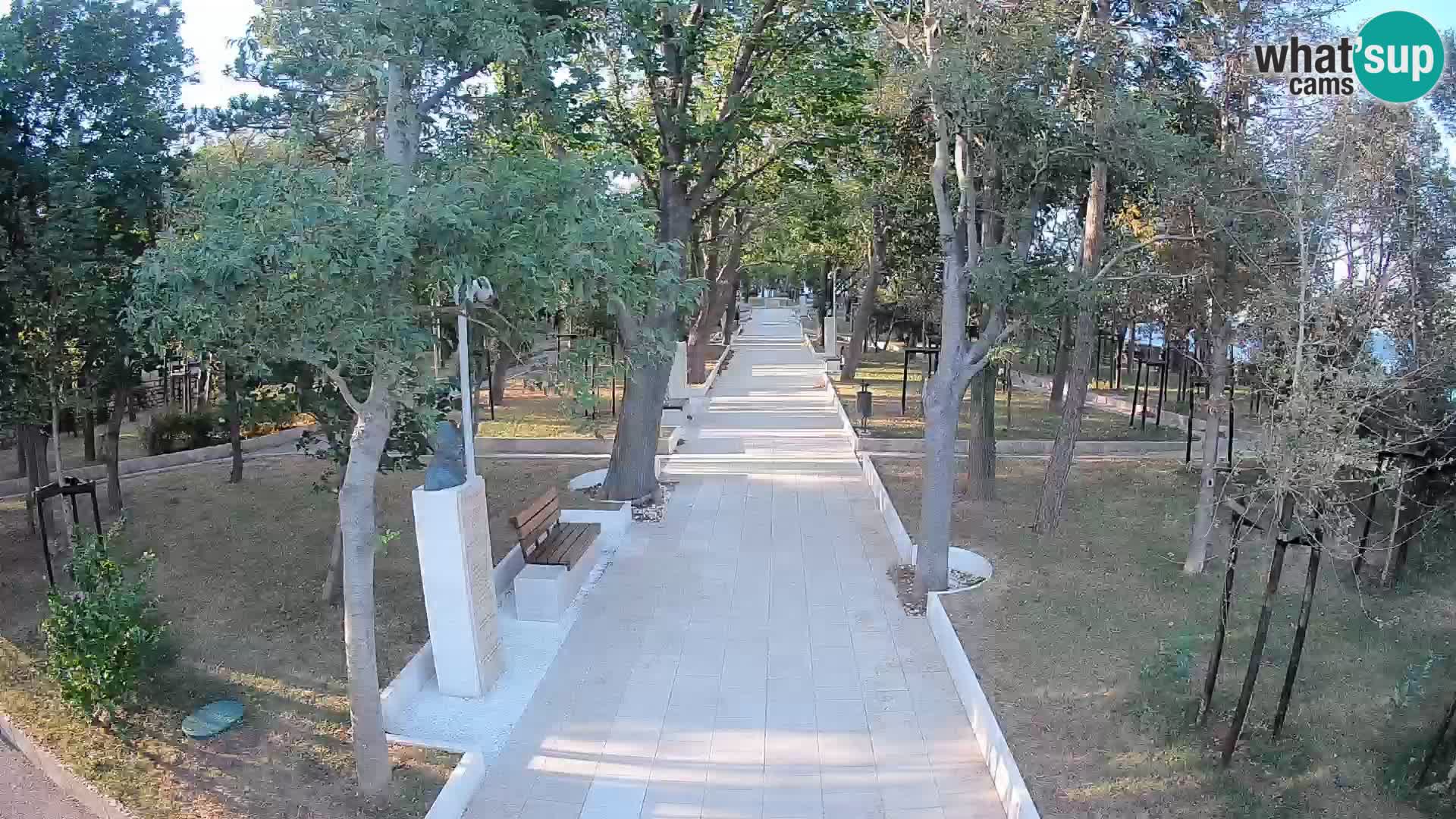 Webcam Parco degli Scrittori Segna – Diretta sul Mare