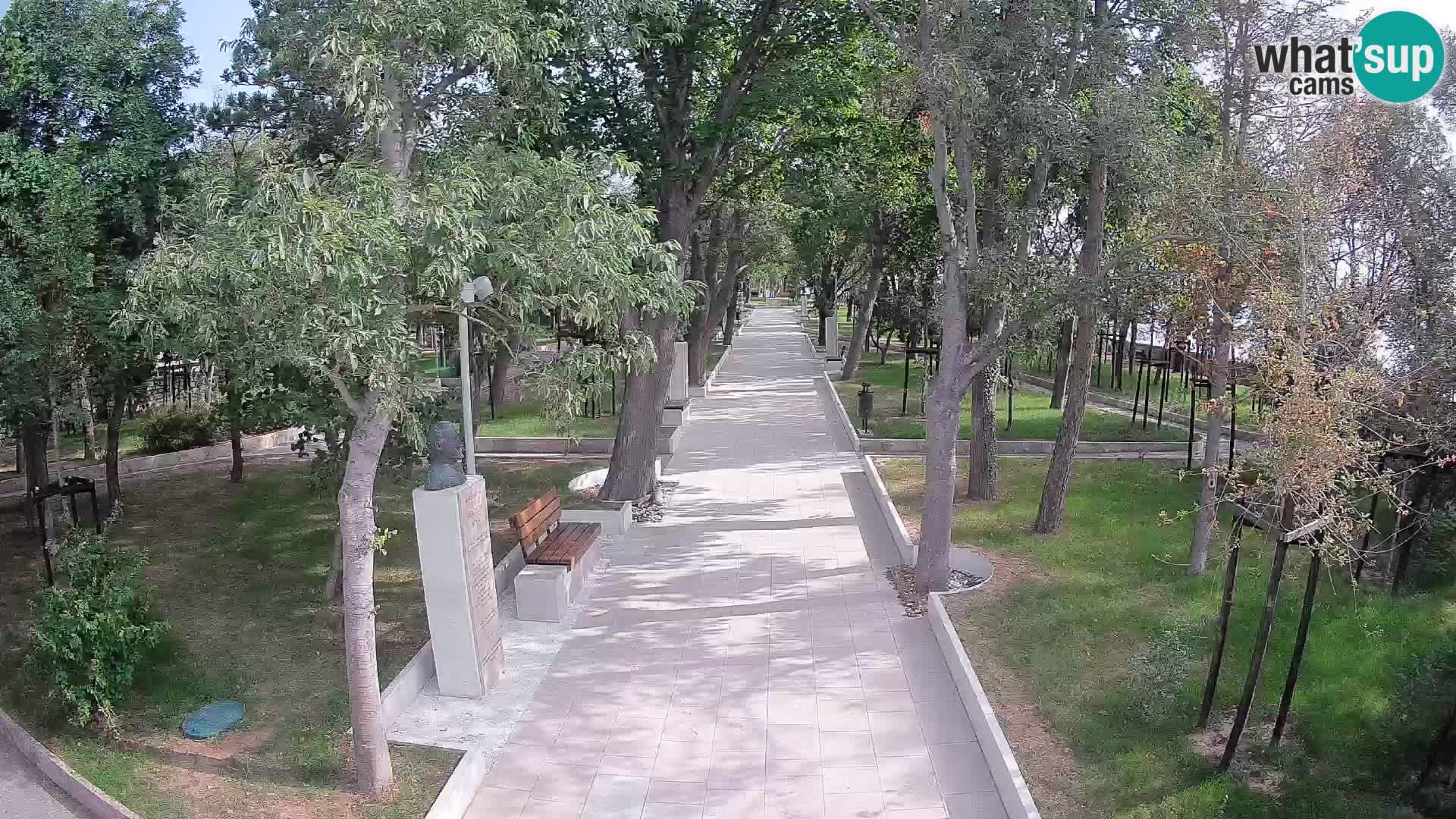 Webcam Parco degli Scrittori Segna – Diretta sul Mare