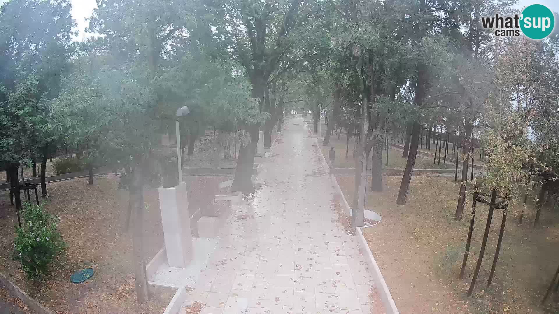 Webcam Parco degli Scrittori Segna – Diretta sul Mare