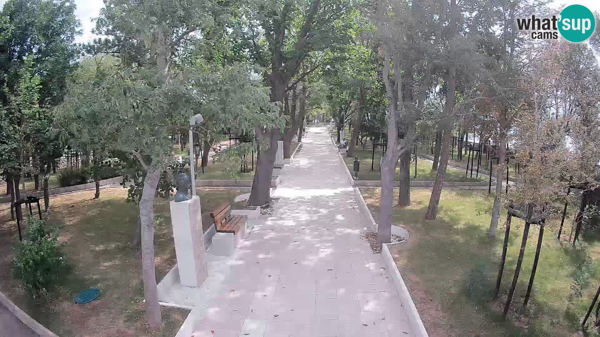 Webcam Parco degli Scrittori Segna – Diretta sul Mare
