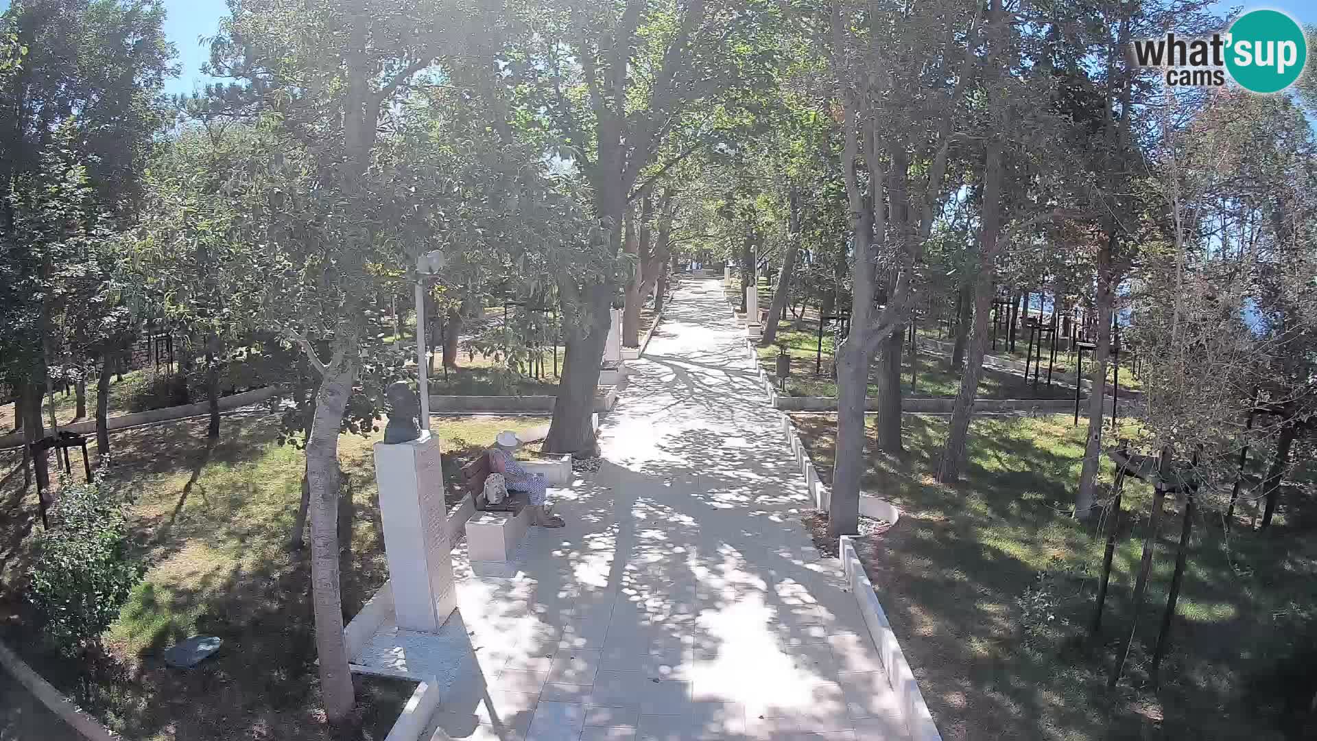 Webcam Parco degli Scrittori Segna – Diretta sul Mare