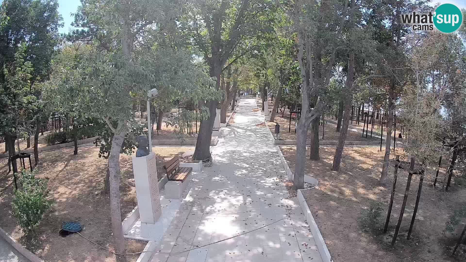 Webcam Parco degli Scrittori Segna – Diretta sul Mare