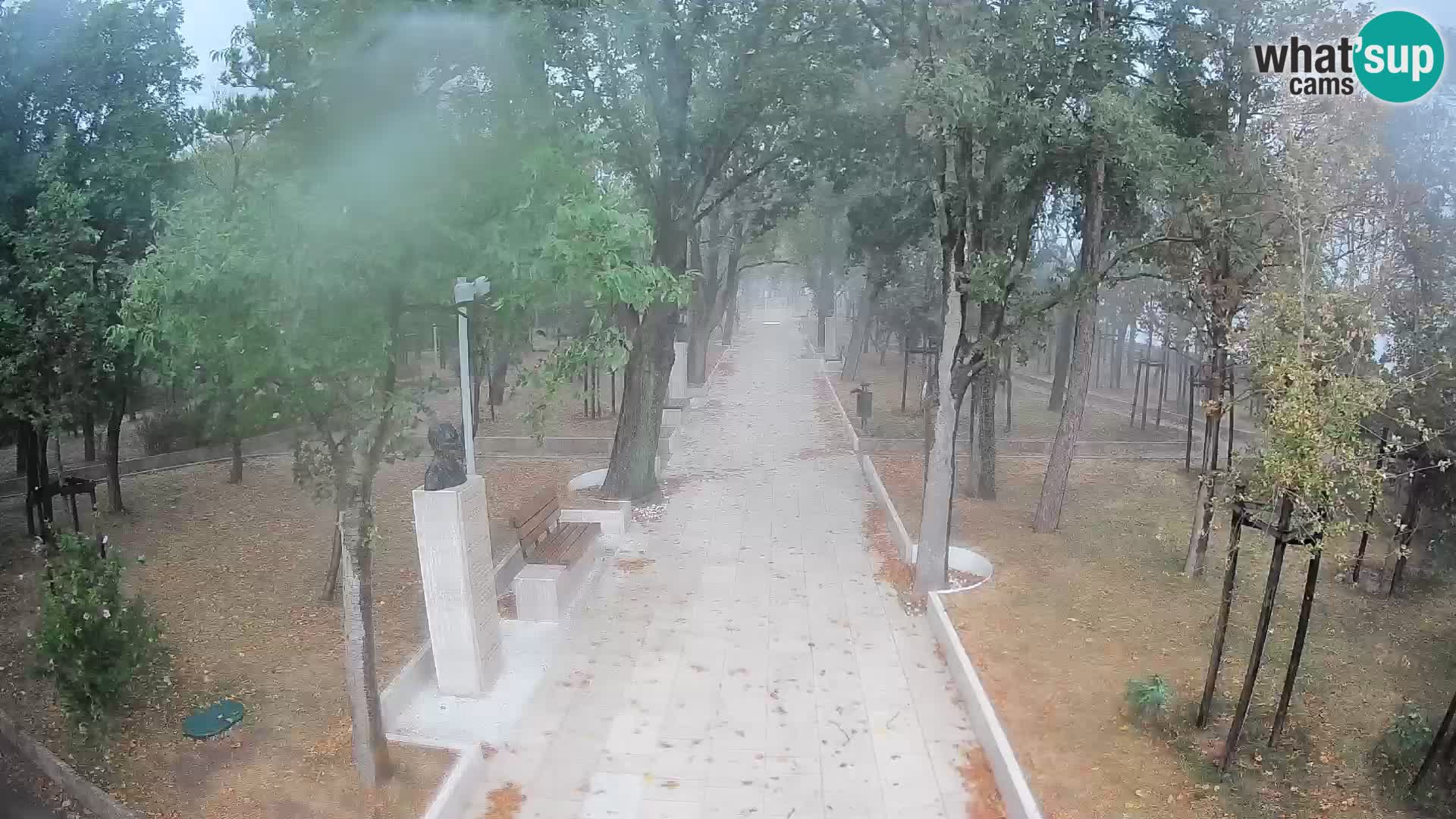 Webcam Parco degli Scrittori Segna – Diretta sul Mare