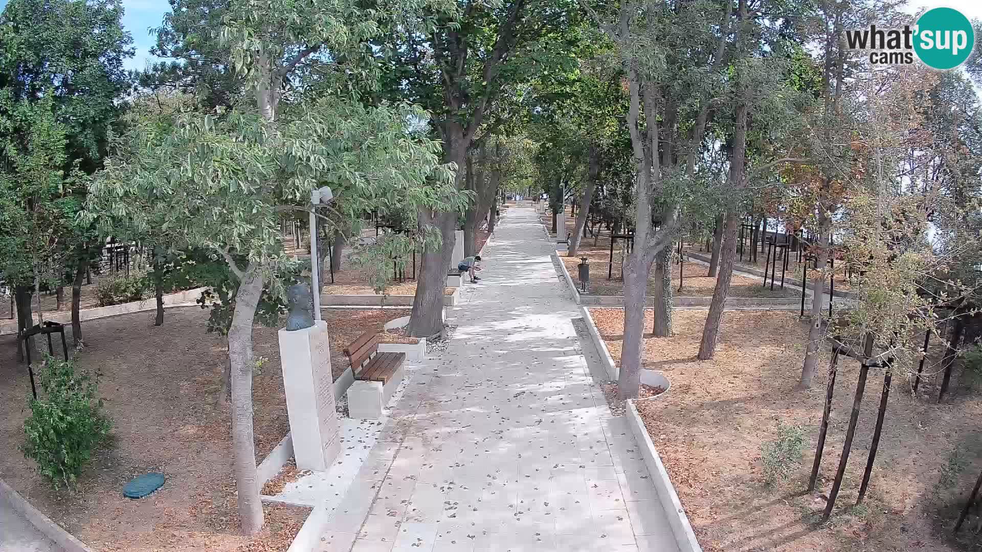 Webcam Parco degli Scrittori Segna – Diretta sul Mare