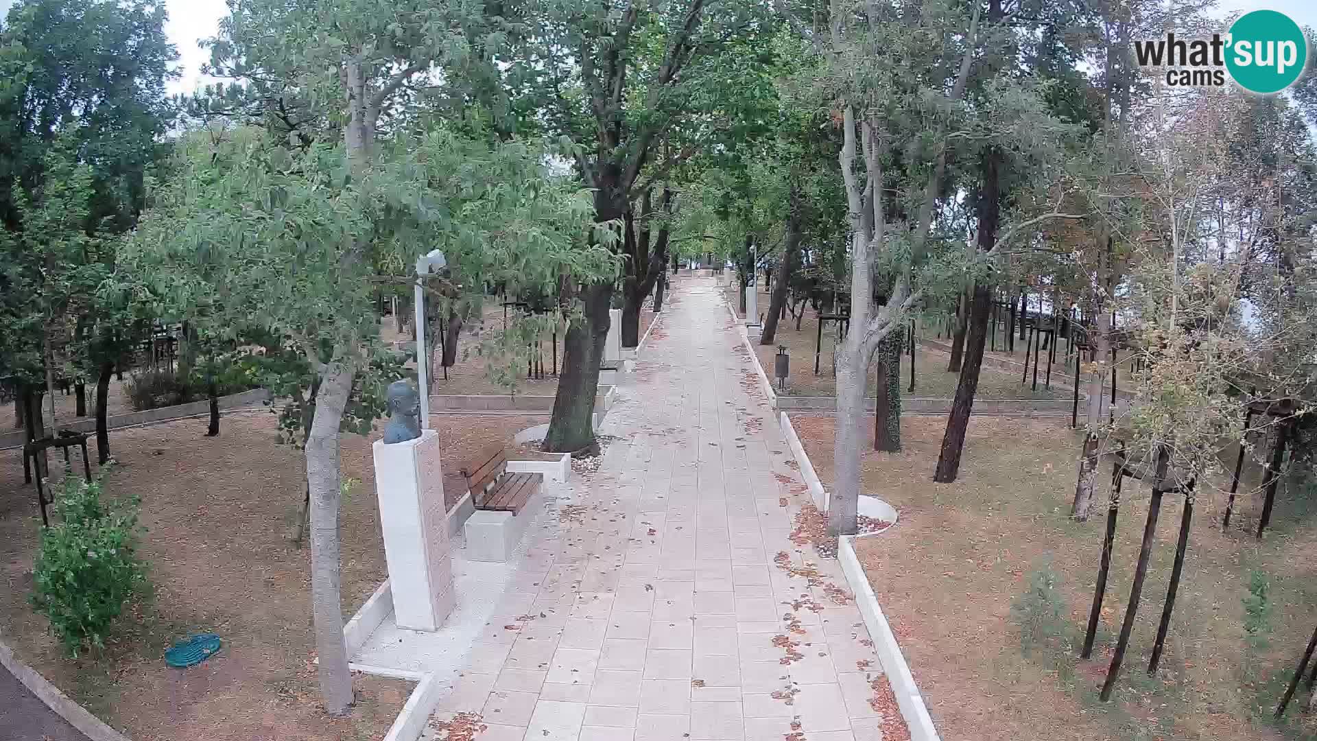 Webcam Parco degli Scrittori Segna – Diretta sul Mare