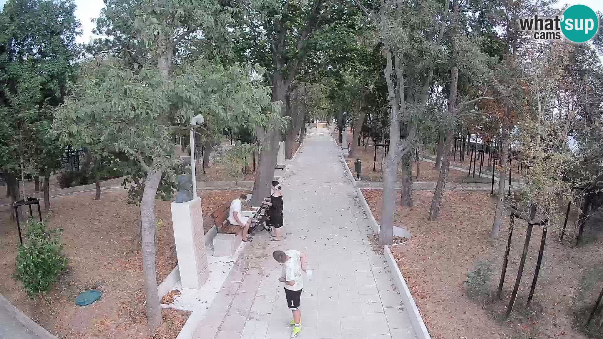 Webcam Parco degli Scrittori Segna – Diretta sul Mare