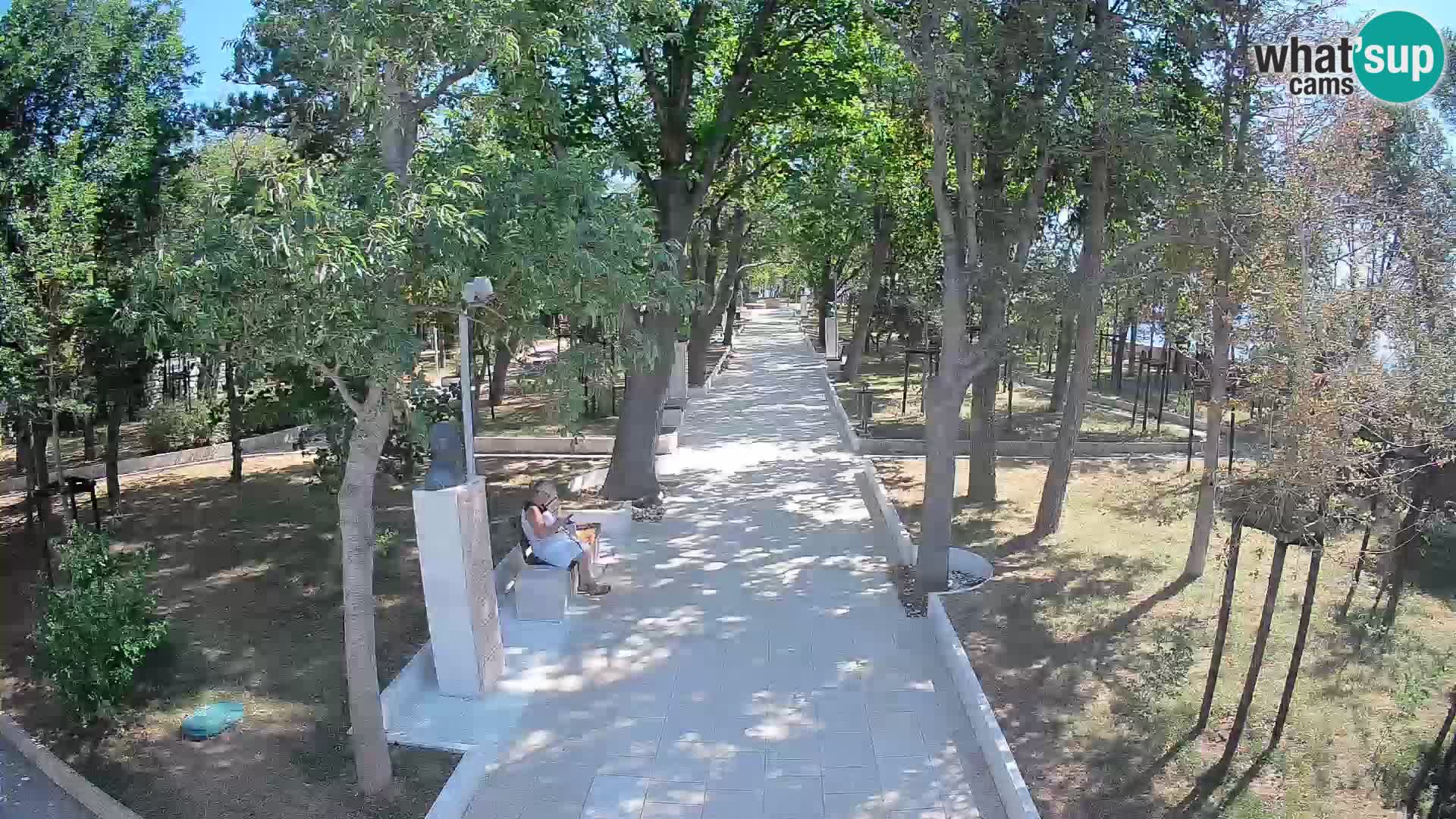 Webcam Parco degli Scrittori Segna – Diretta sul Mare