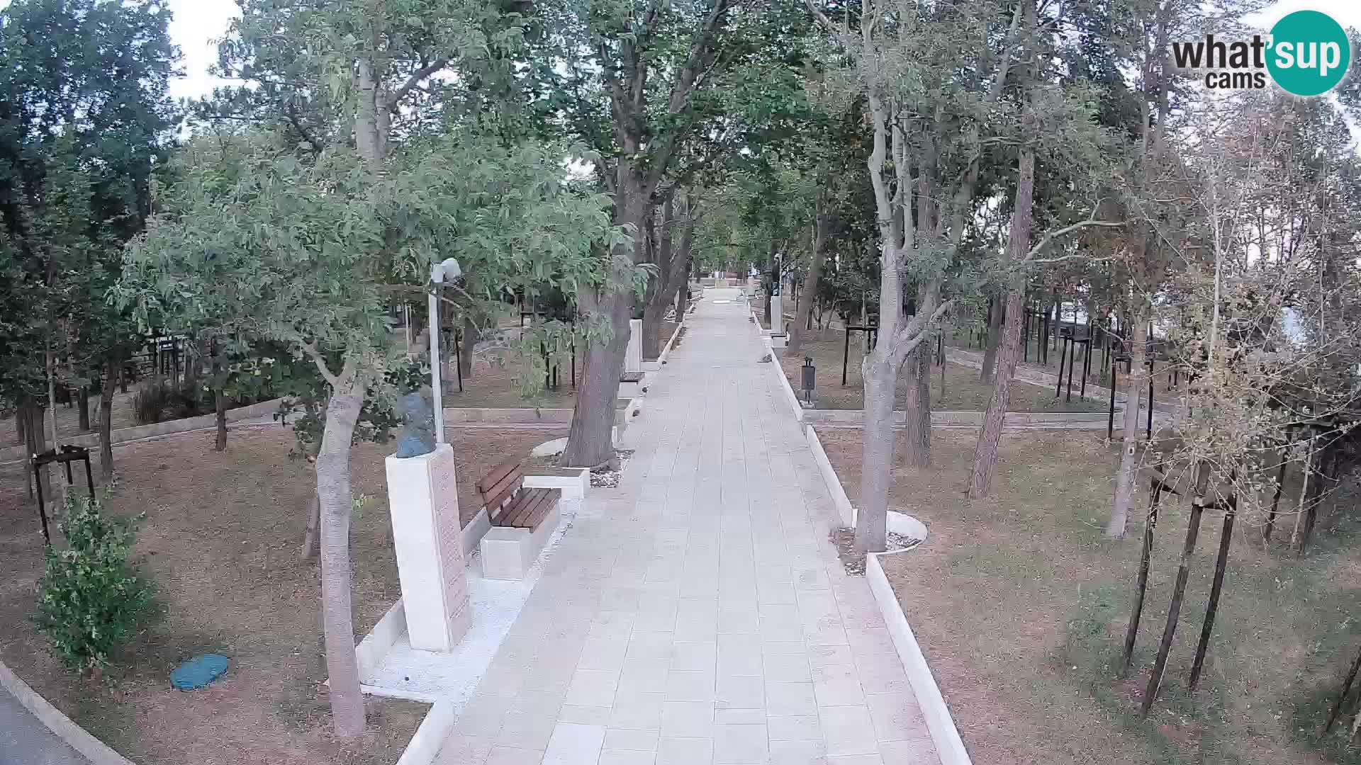 Webcam Schriftstellerpark Senj – Live am Meer