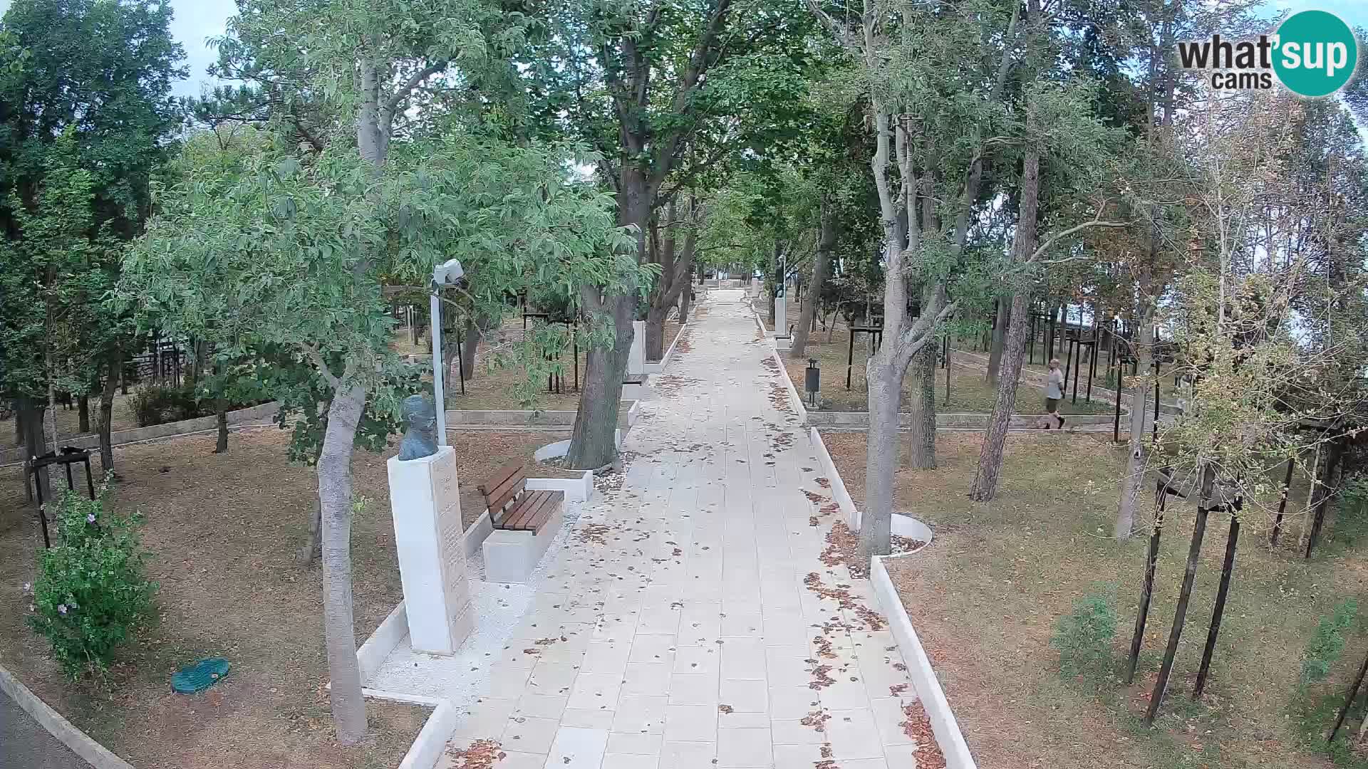 Webcam Parco degli Scrittori Segna – Diretta sul Mare