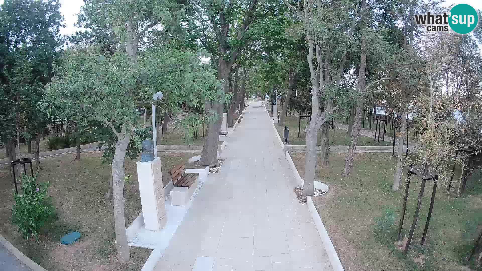 Webcam Parco degli Scrittori Segna – Diretta sul Mare
