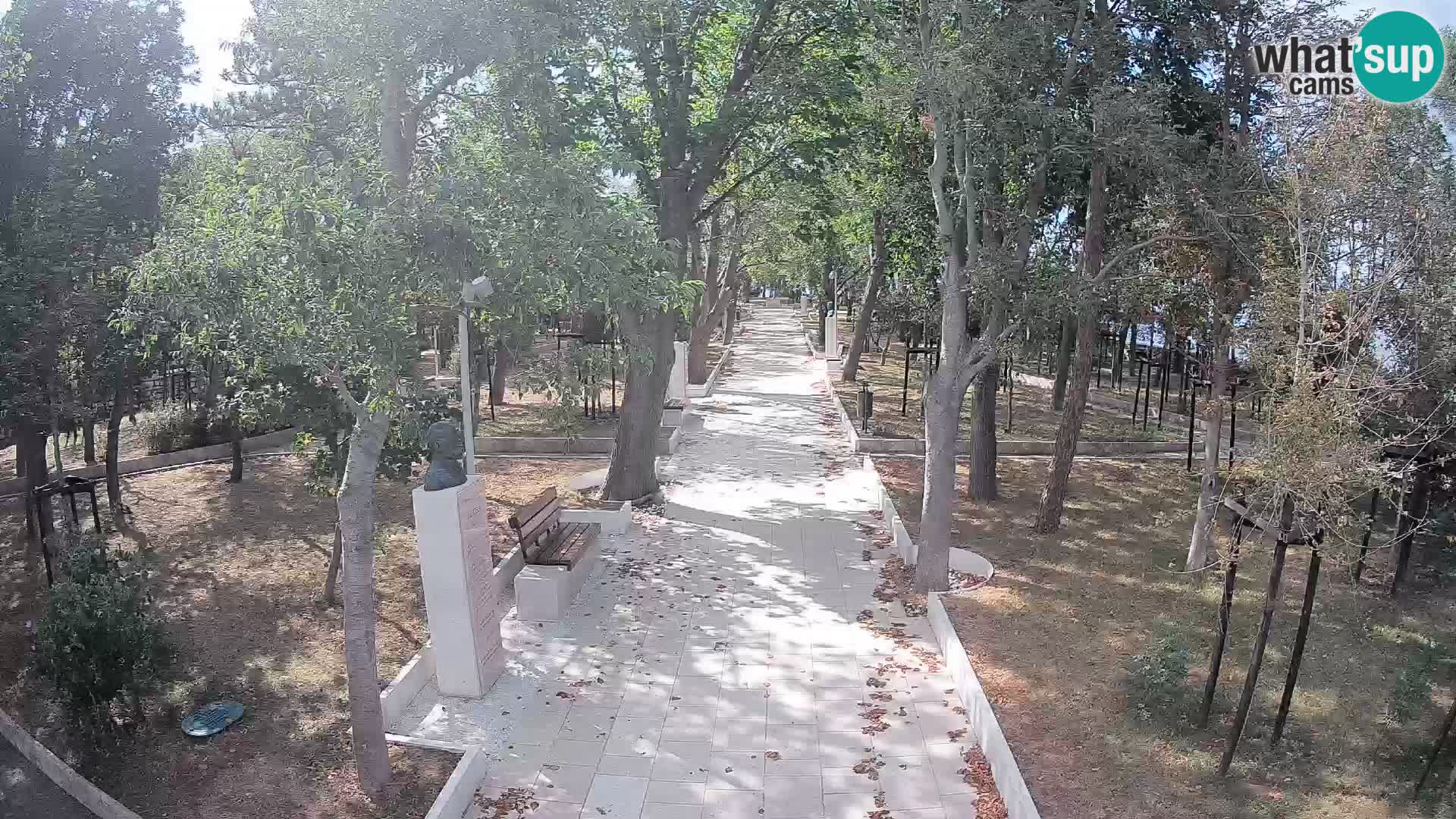 Webcam Parco degli Scrittori Segna – Diretta sul Mare