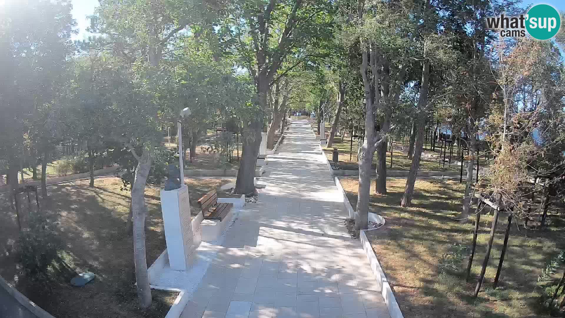 Webcam Parco degli Scrittori Segna – Diretta sul Mare
