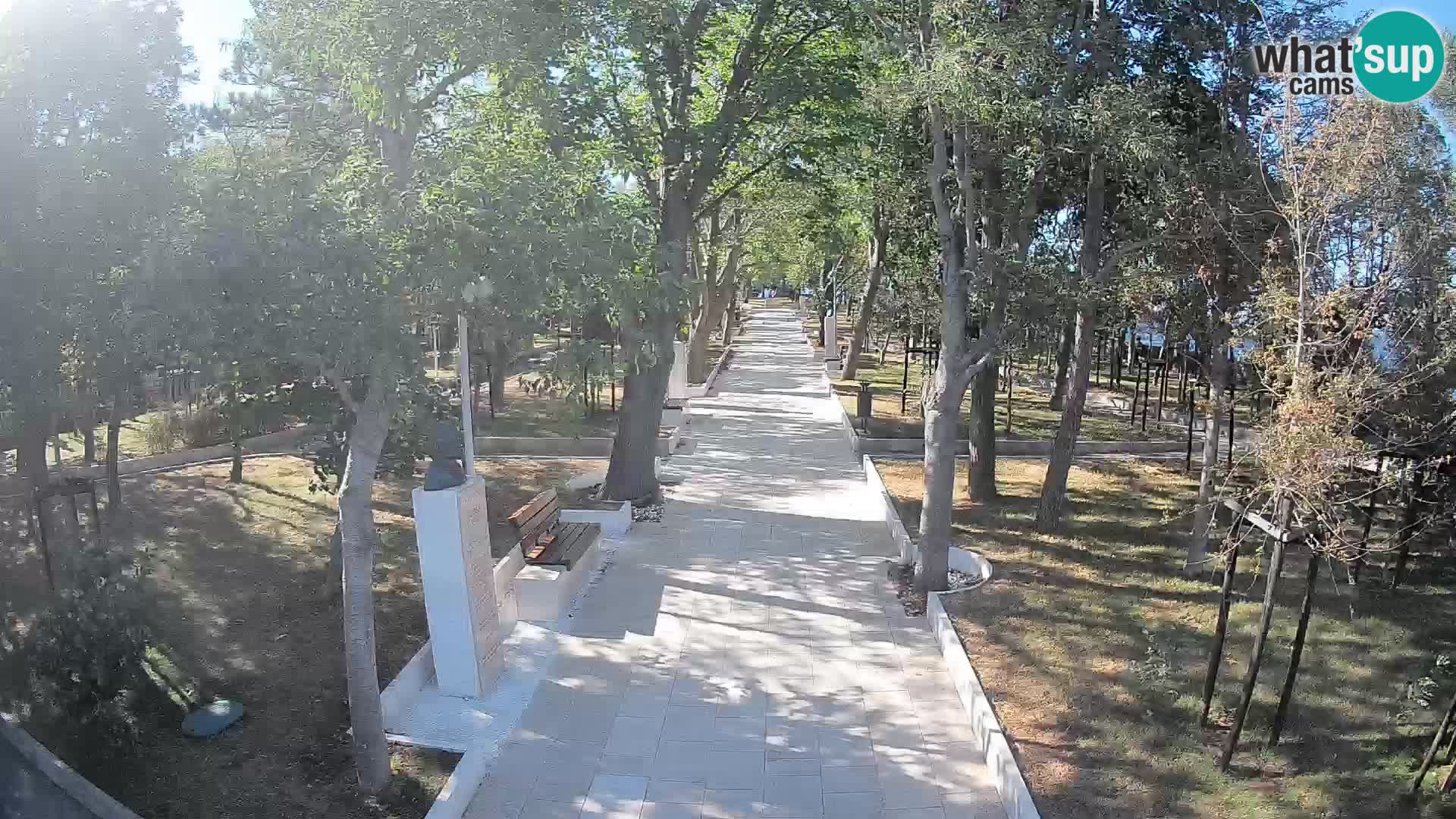 Webcam Parco degli Scrittori Segna – Diretta sul Mare