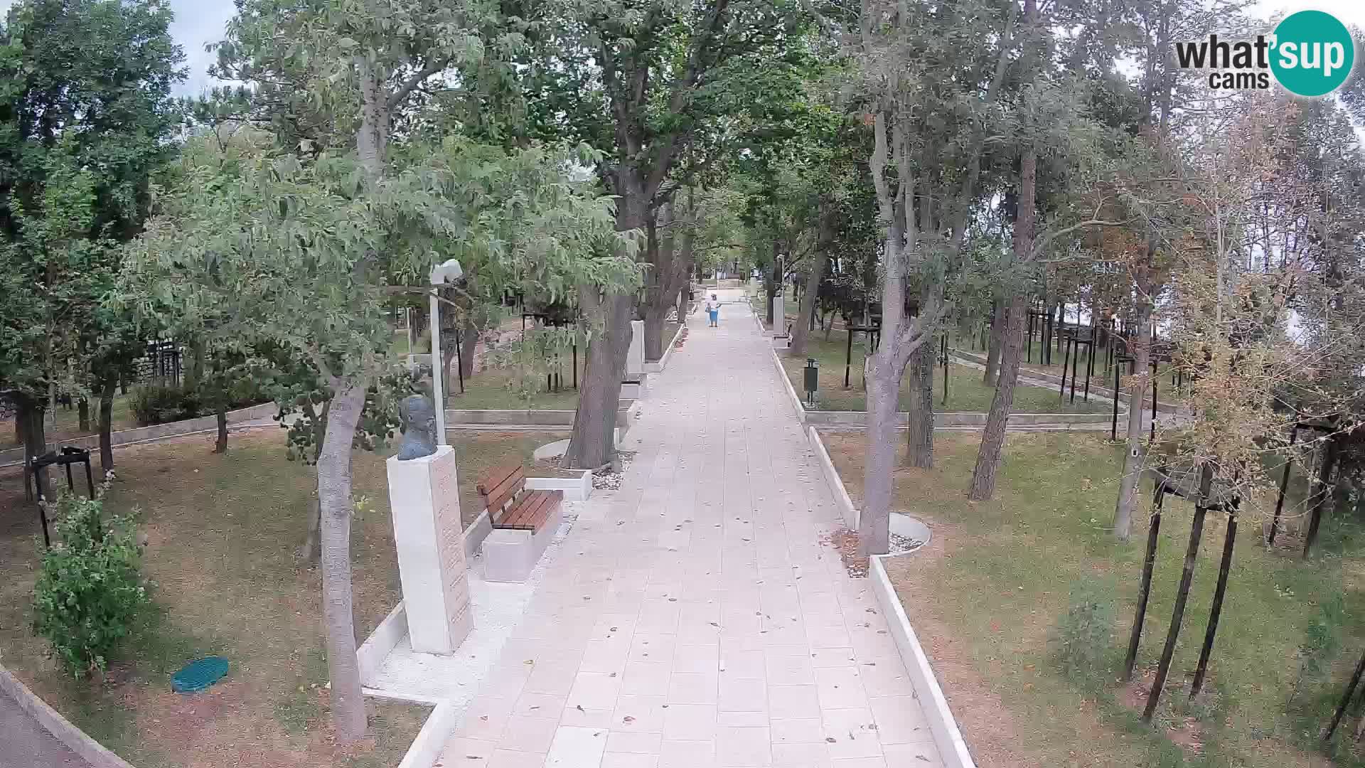 Webcam Schriftstellerpark Senj – Live am Meer