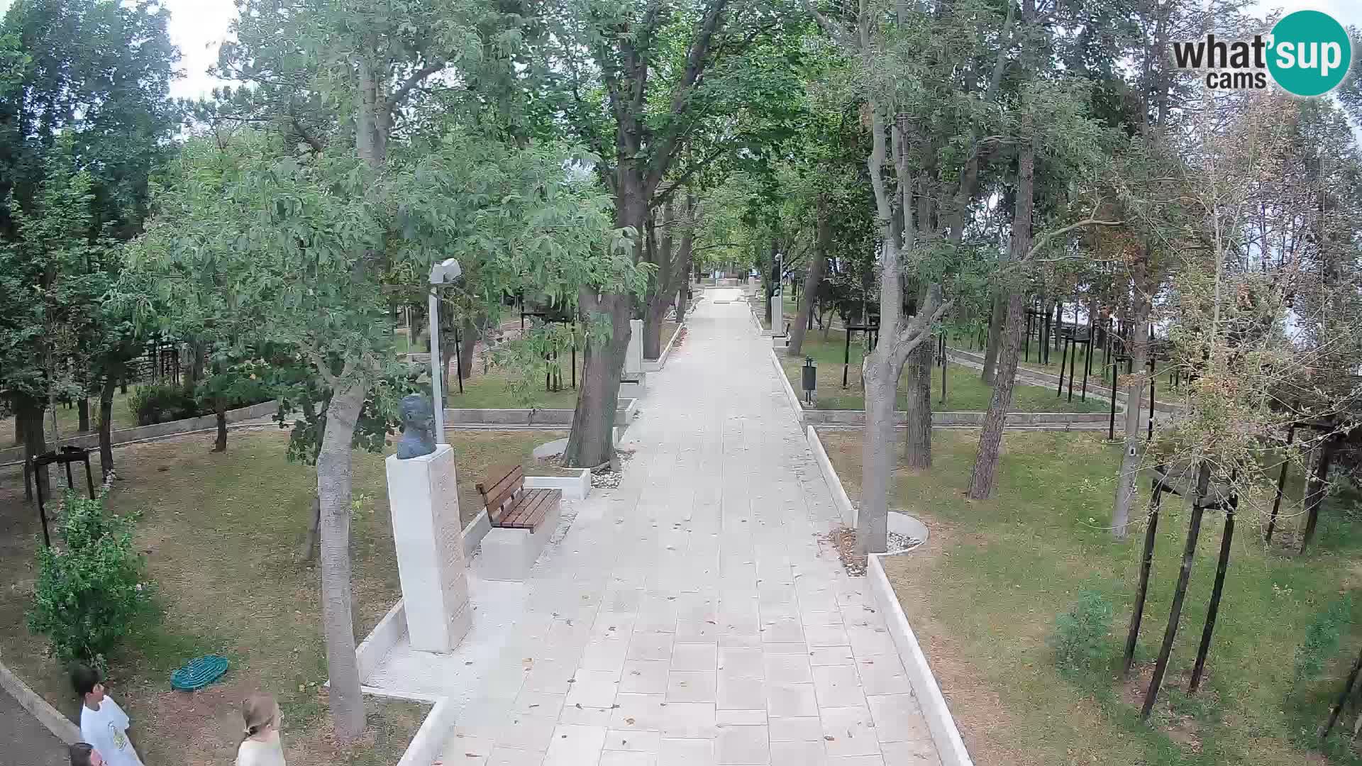 Webcam Parco degli Scrittori Segna – Diretta sul Mare