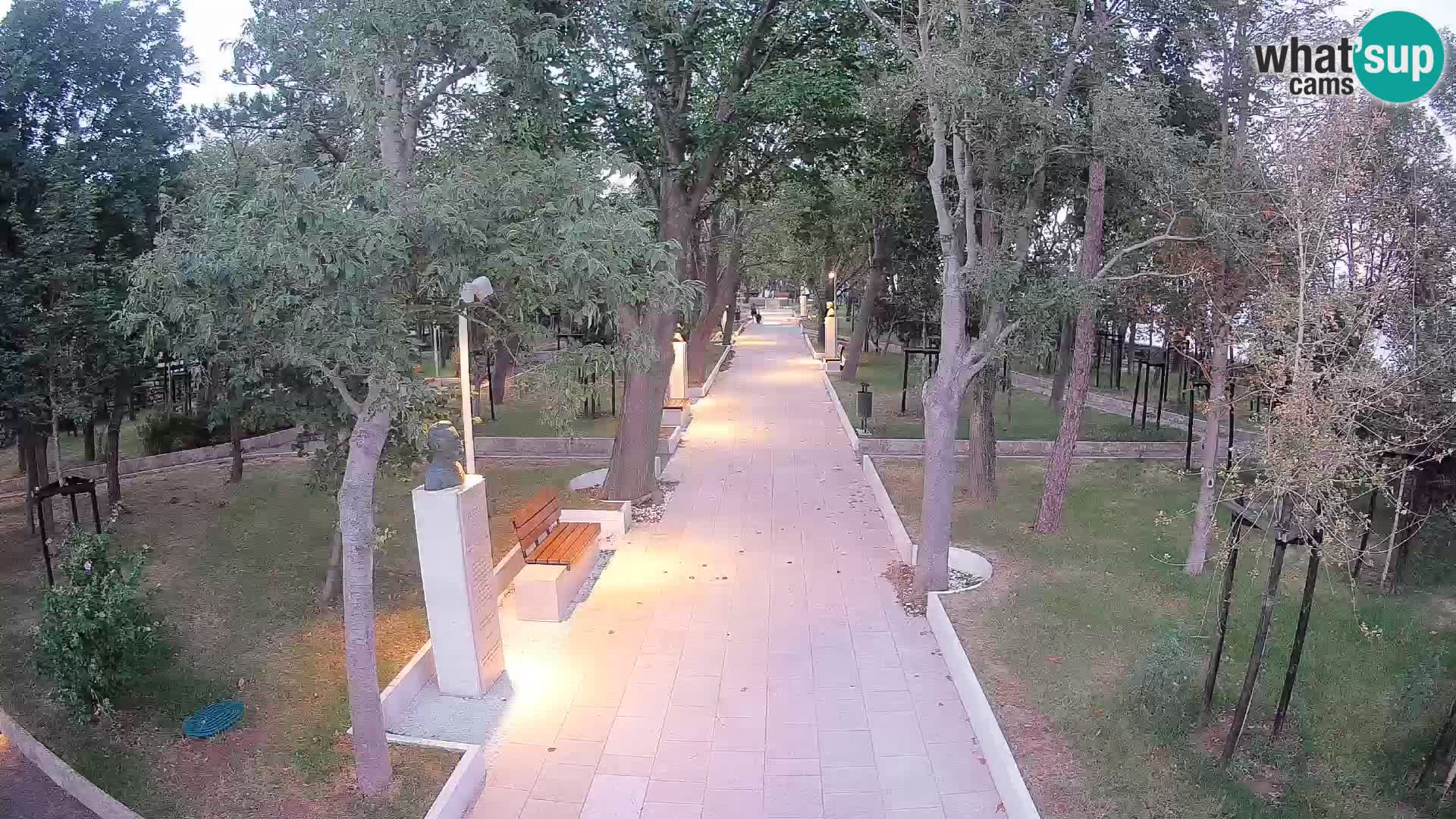 Webcam Parco degli Scrittori Segna – Diretta sul Mare