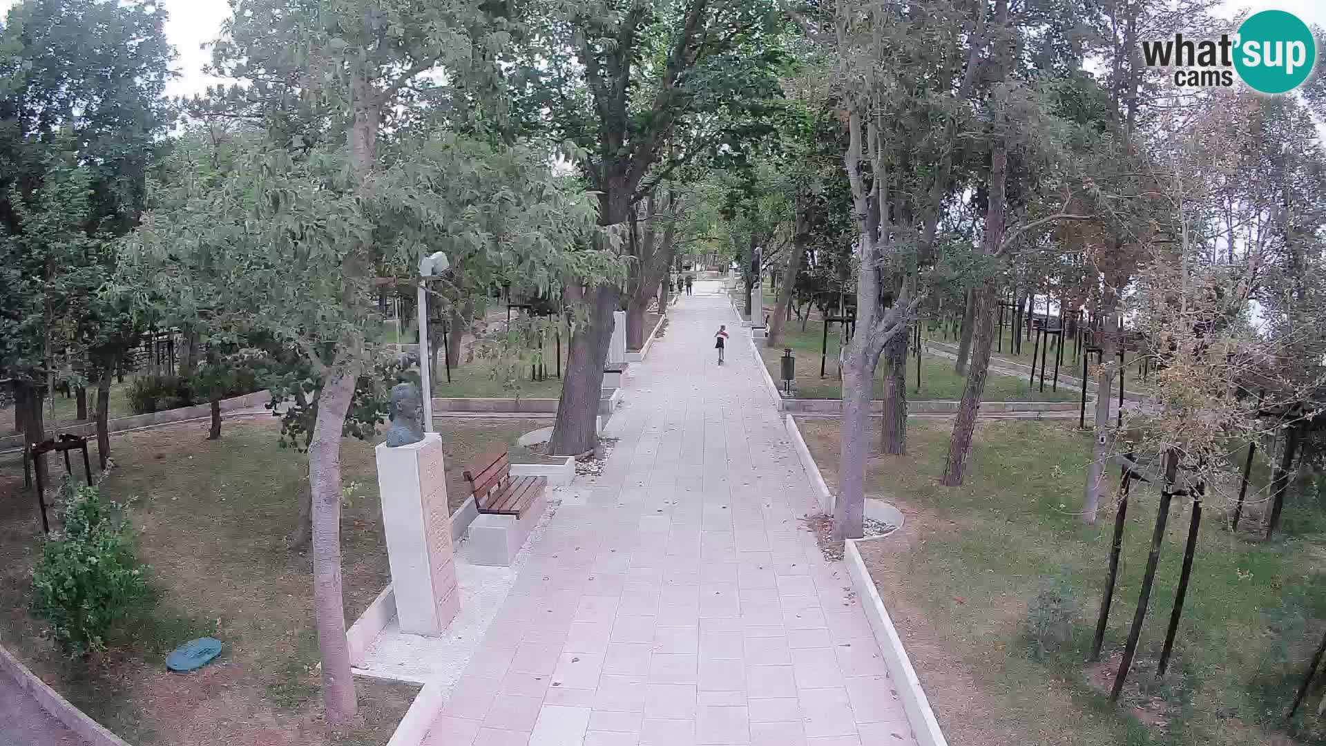 Webcam Parco degli Scrittori Segna – Diretta sul Mare