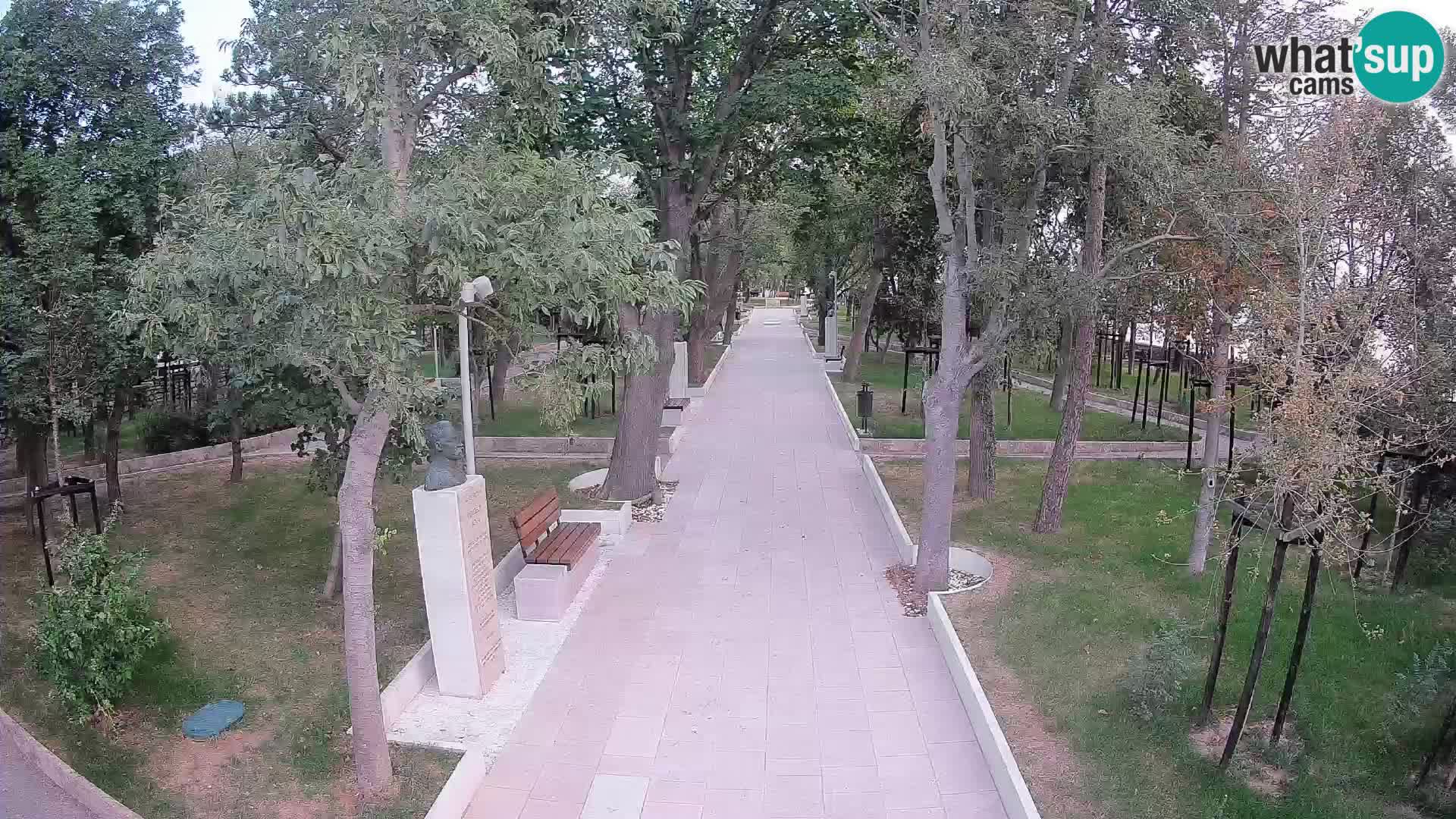 Webcam Parco degli Scrittori Segna – Diretta sul Mare