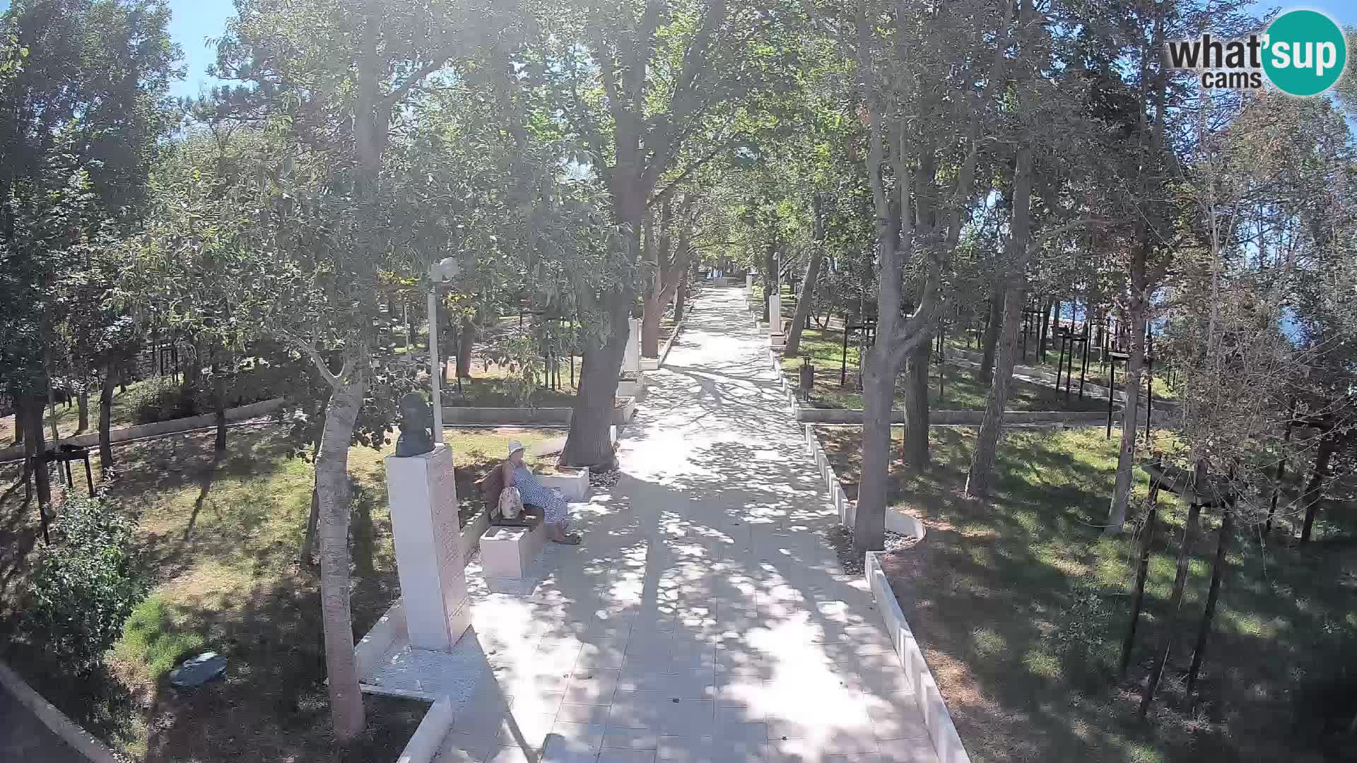 Webcam Parco degli Scrittori Segna – Diretta sul Mare