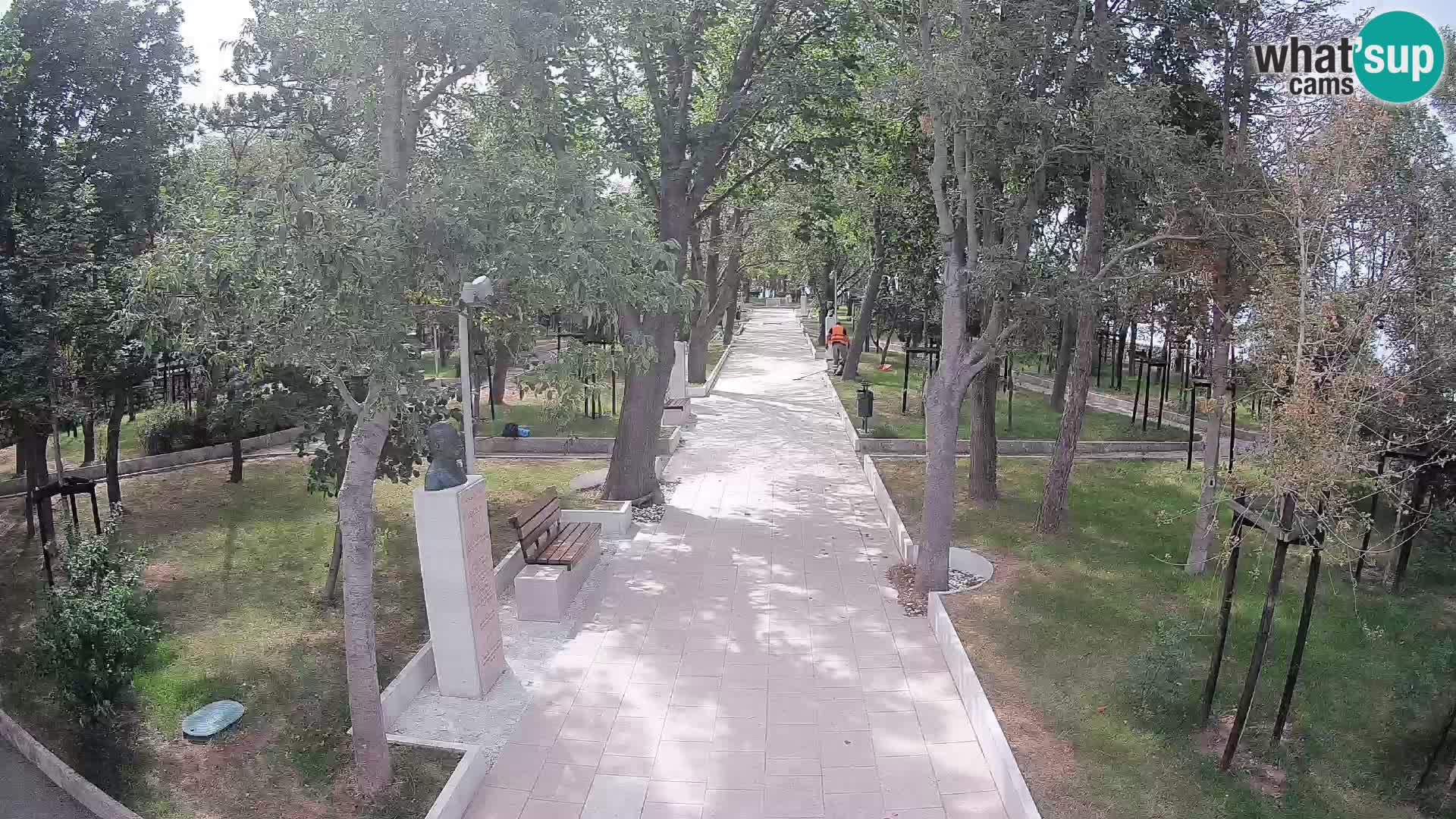 Webcam Parco degli Scrittori Segna – Diretta sul Mare