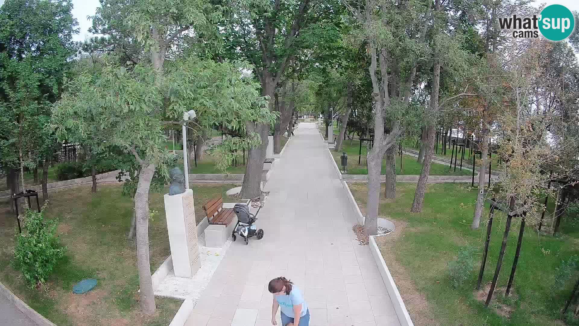 Webcam Parco degli Scrittori Segna – Diretta sul Mare