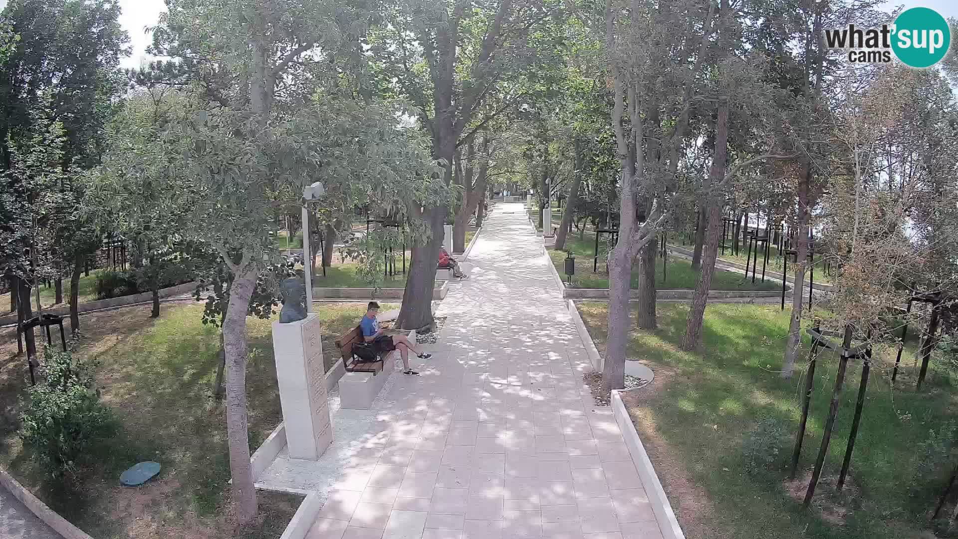 Webcam Parco degli Scrittori Segna – Diretta sul Mare