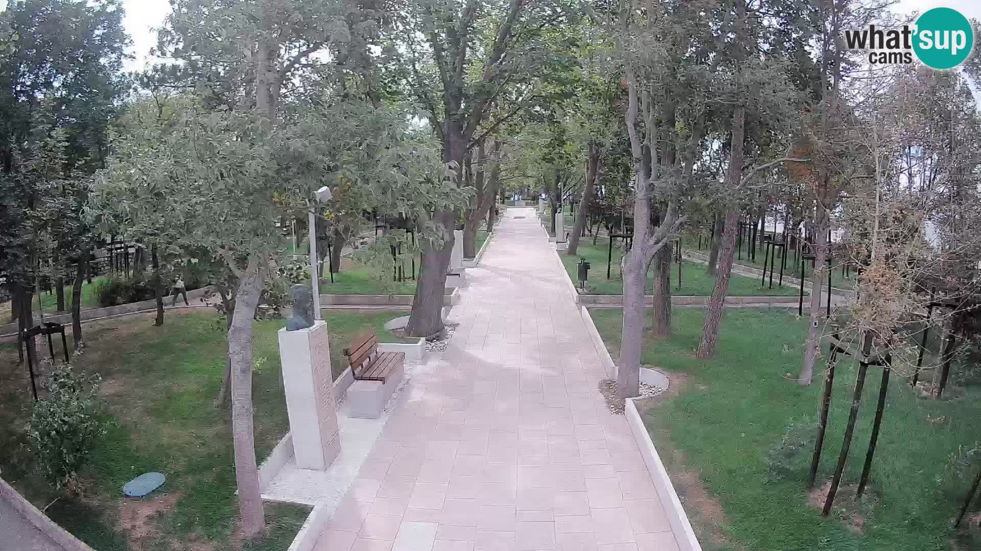 Webcam Parco degli Scrittori Segna – Diretta sul Mare