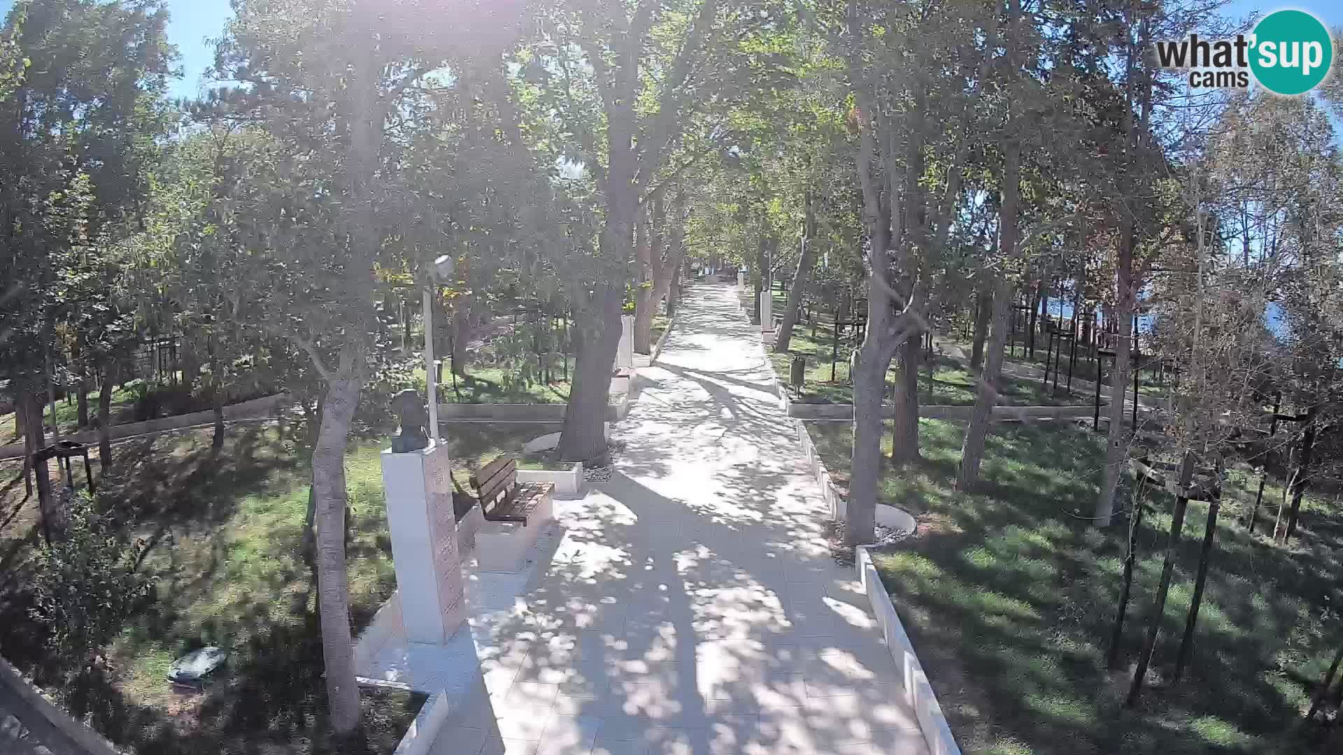 Webcam Parco degli Scrittori Segna – Diretta sul Mare