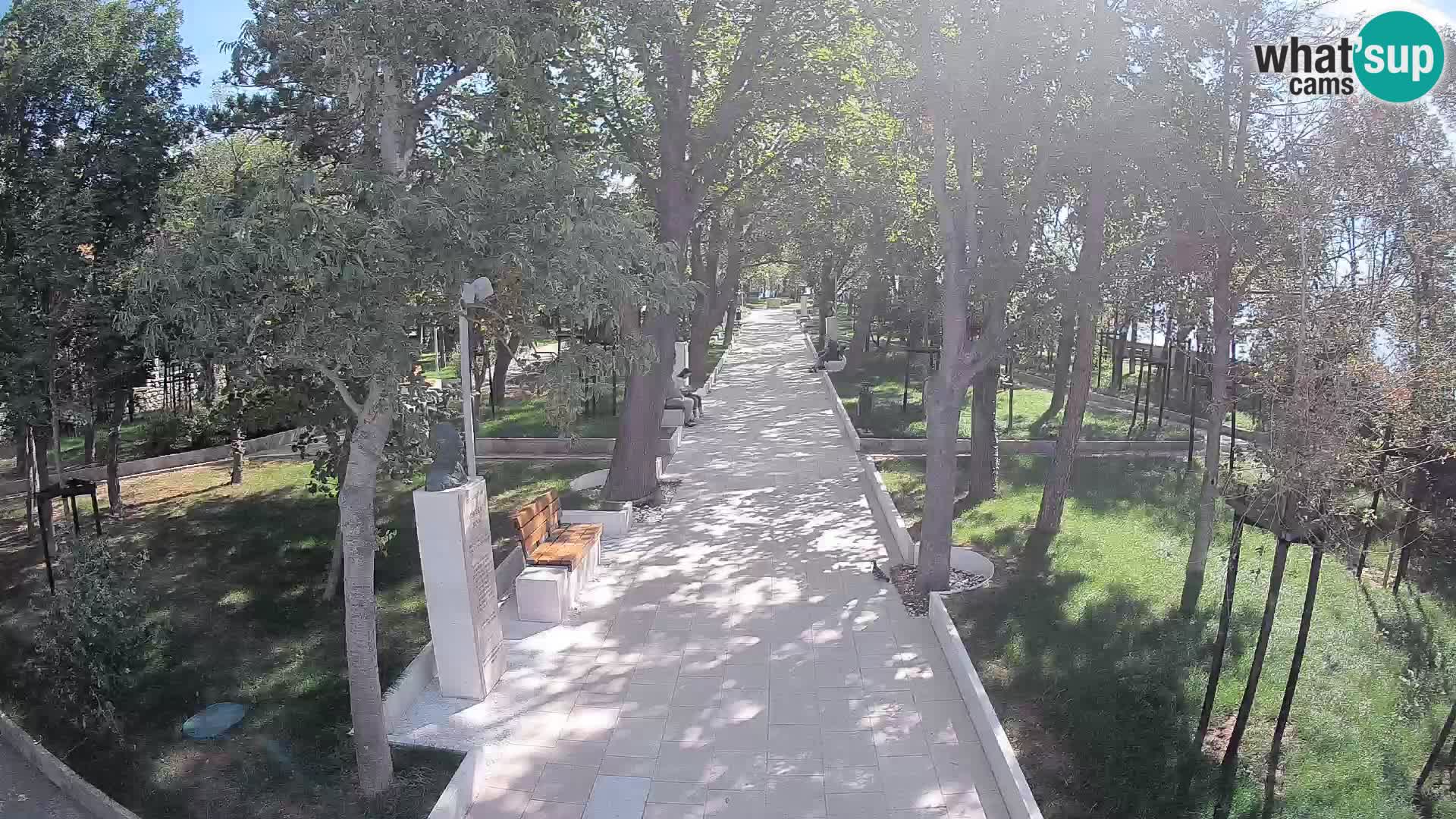 Webcam Parco degli Scrittori Segna – Diretta sul Mare