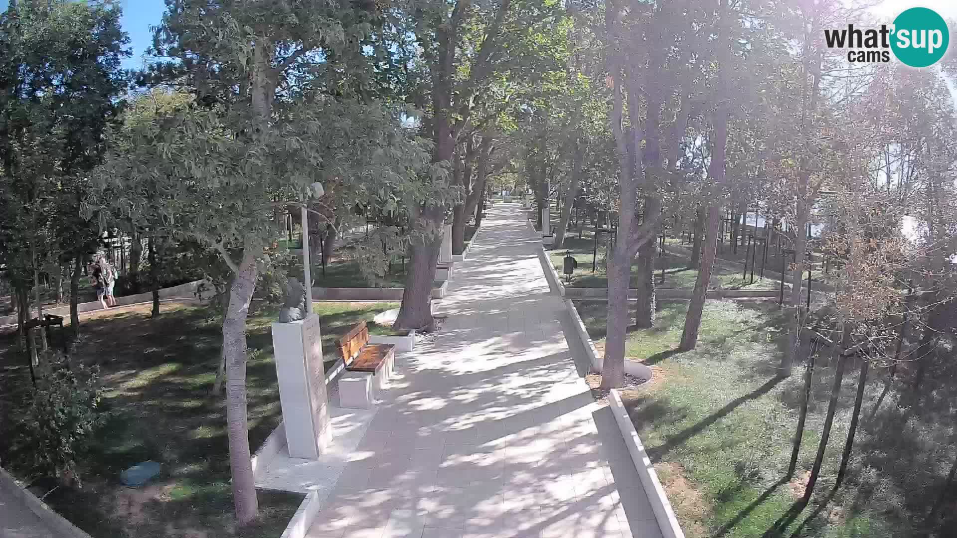 Webcam Schriftstellerpark Senj – Live am Meer