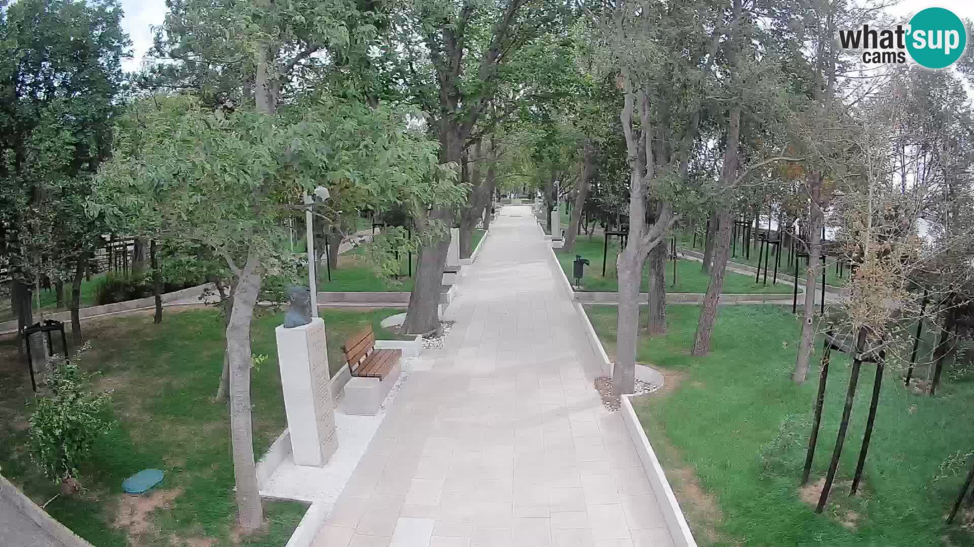 Webcam Parco degli Scrittori Segna – Diretta sul Mare