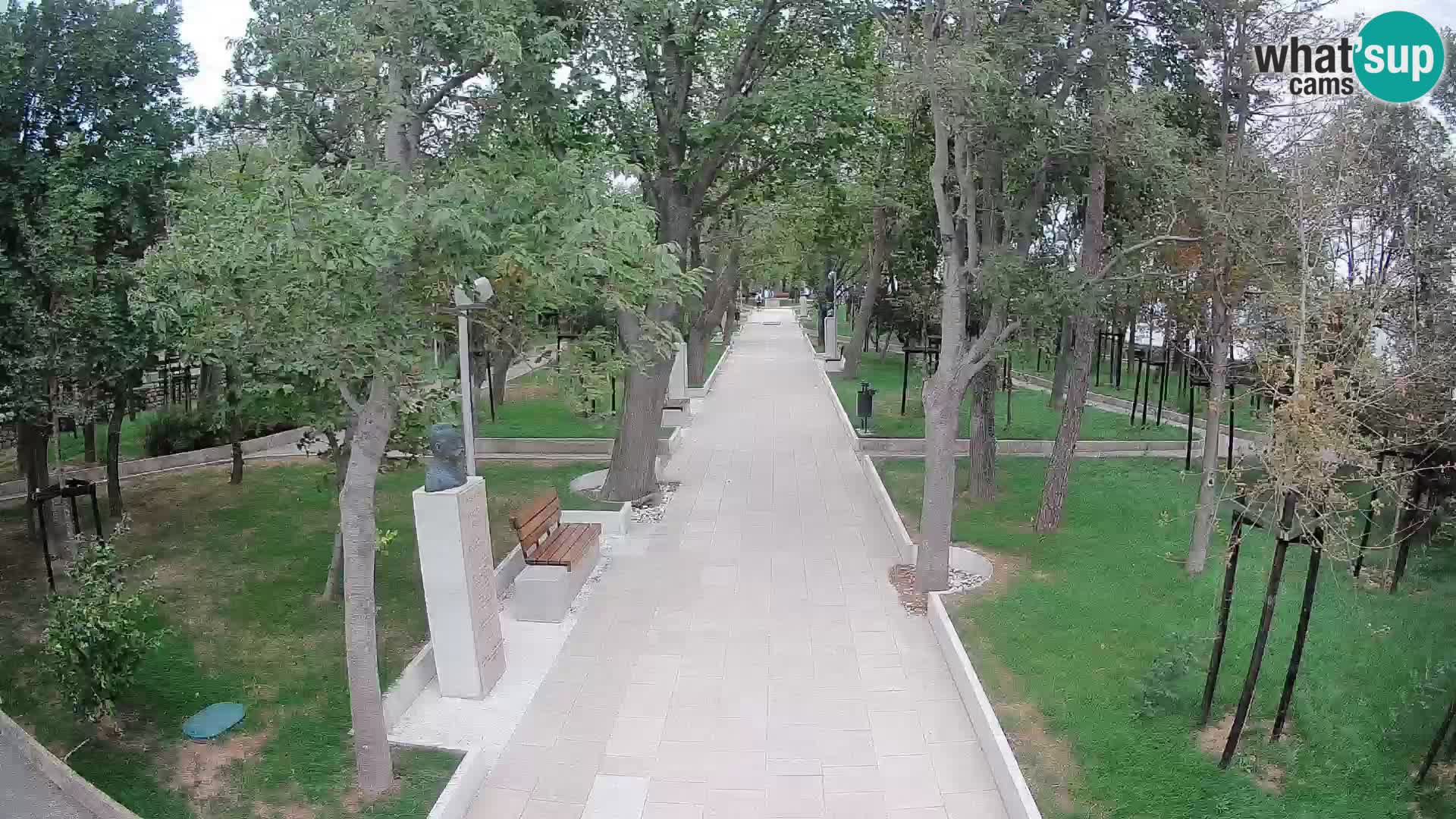 Webcam Parco degli Scrittori Segna – Diretta sul Mare