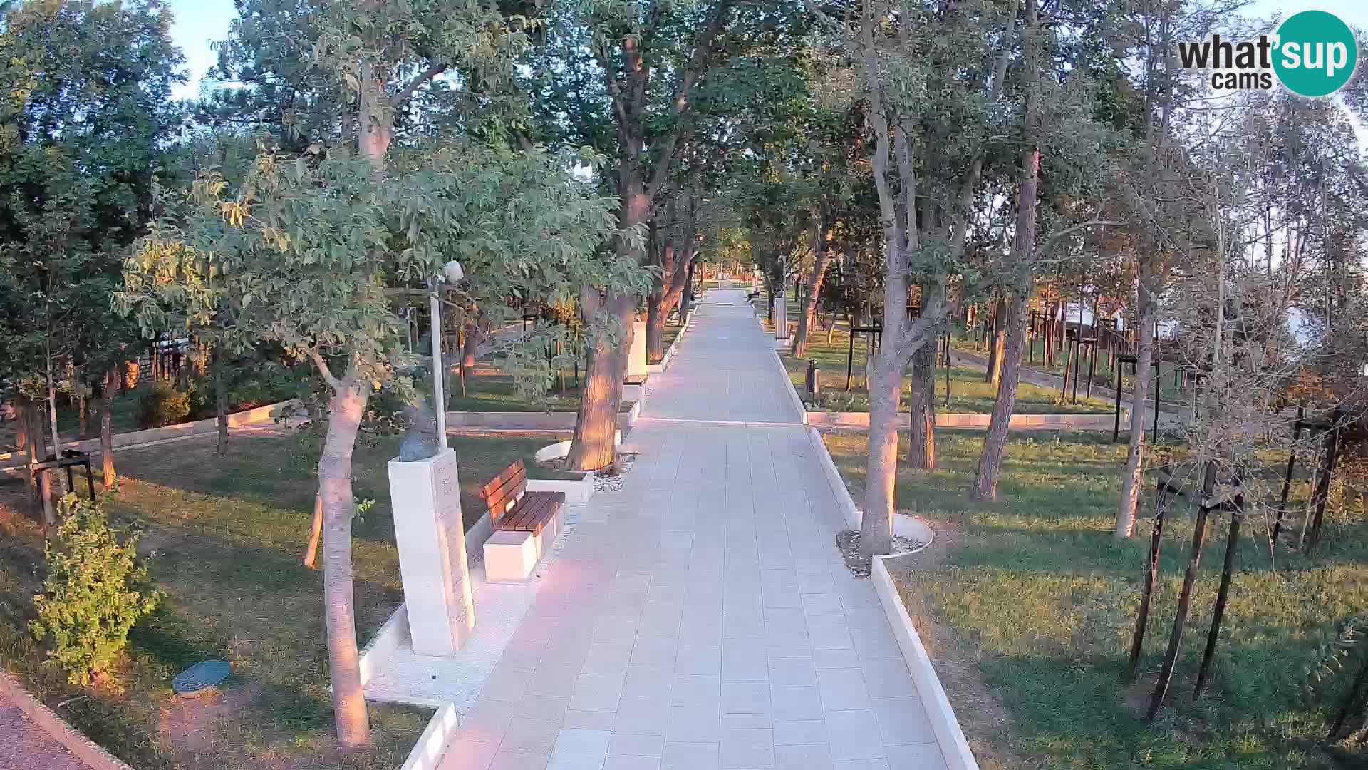 Webcam Parco degli Scrittori Segna – Diretta sul Mare