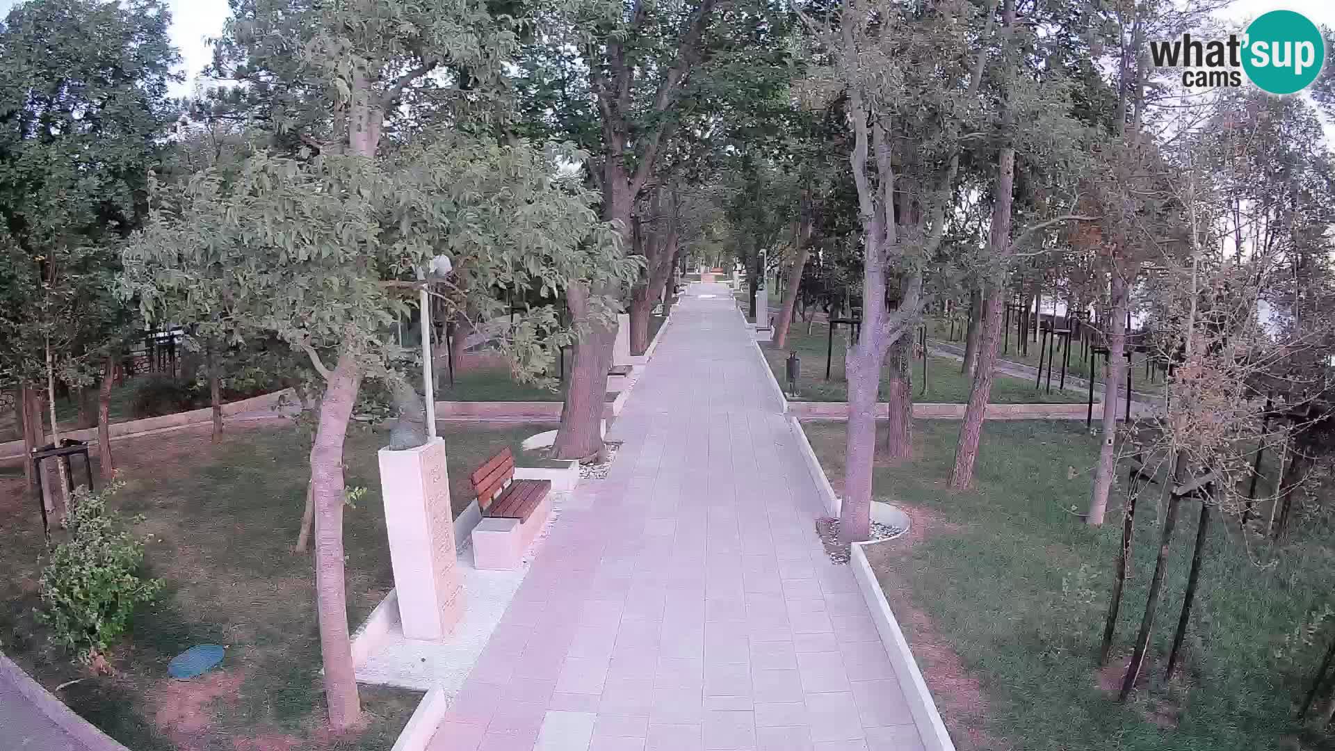Webcam Parco degli Scrittori Segna – Diretta sul Mare