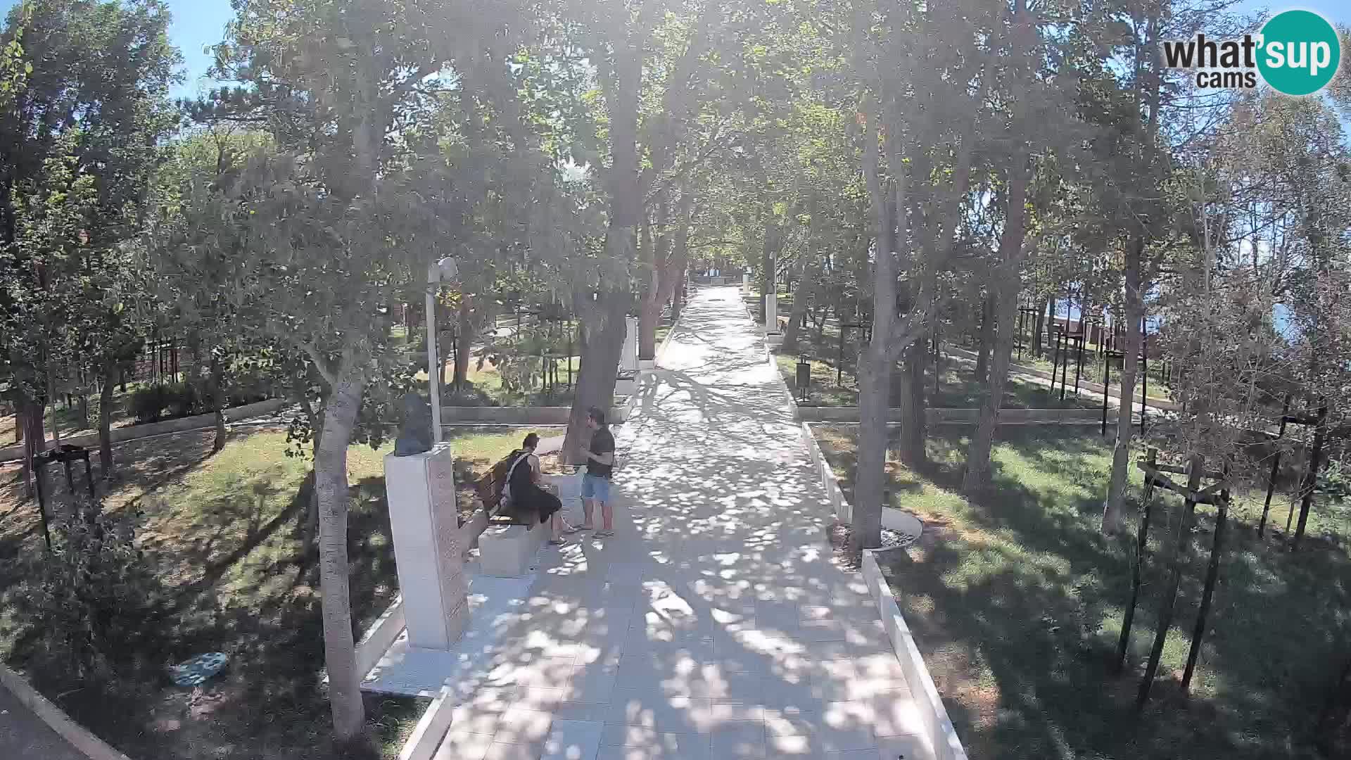 Webcam Parco degli Scrittori Segna – Diretta sul Mare
