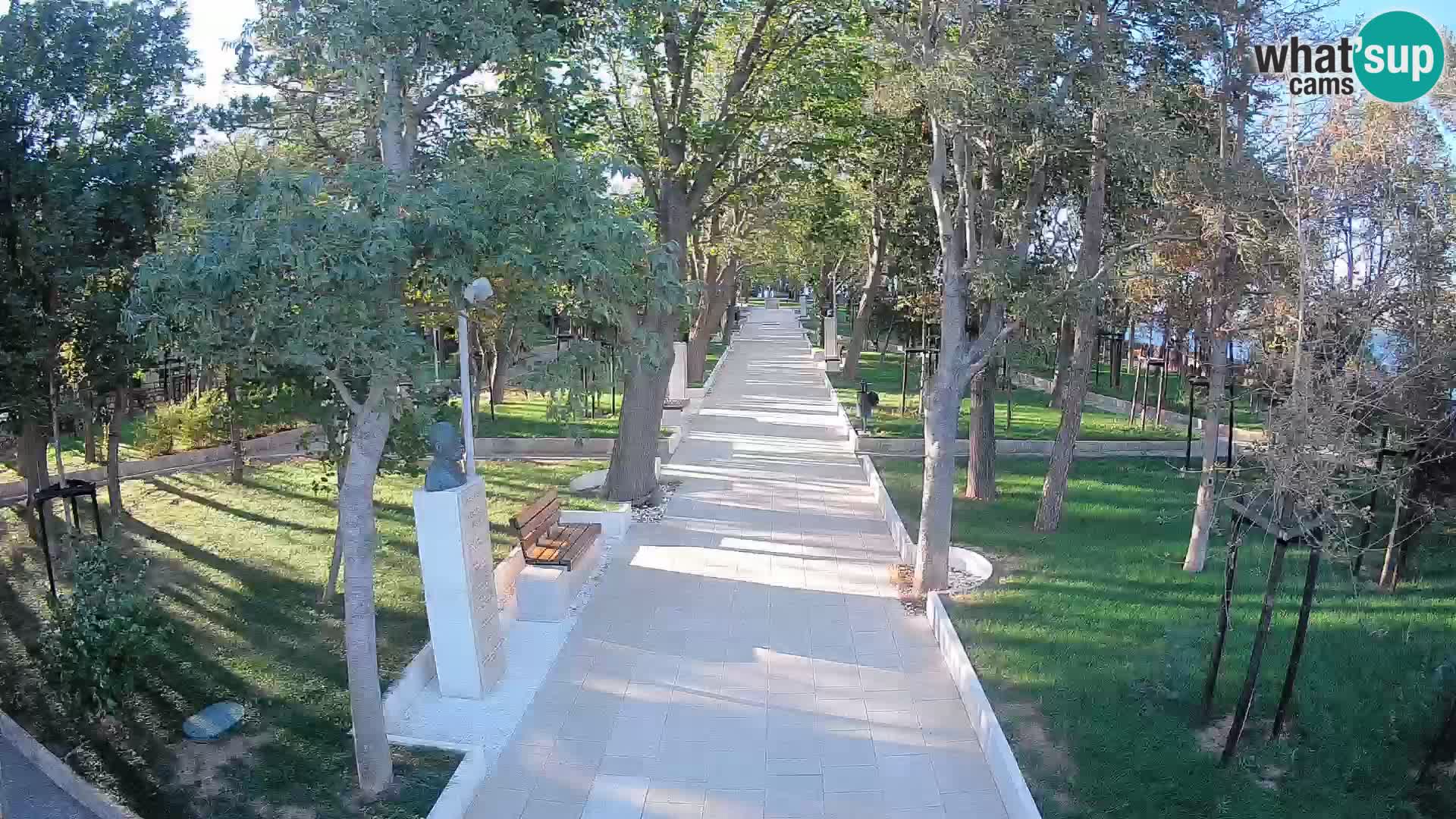Webcam Parco degli Scrittori Segna – Diretta sul Mare