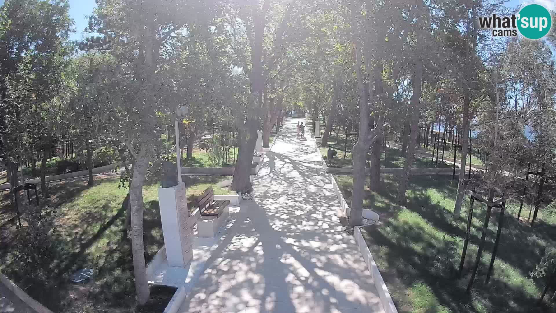 Webcam Parco degli Scrittori Segna – Diretta sul Mare