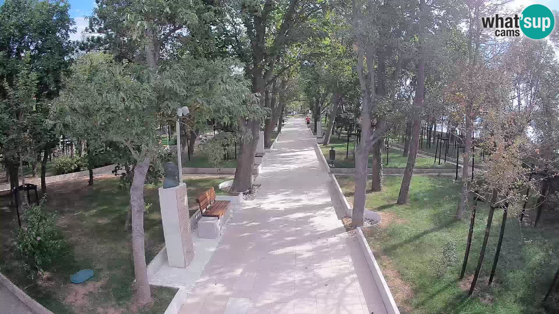Webcam Parco degli Scrittori Segna – Diretta sul Mare