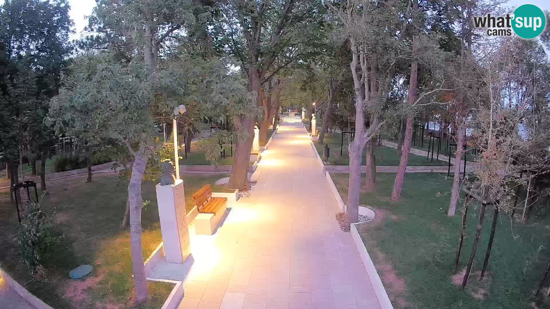 Webcam Parco degli Scrittori Segna – Diretta sul Mare