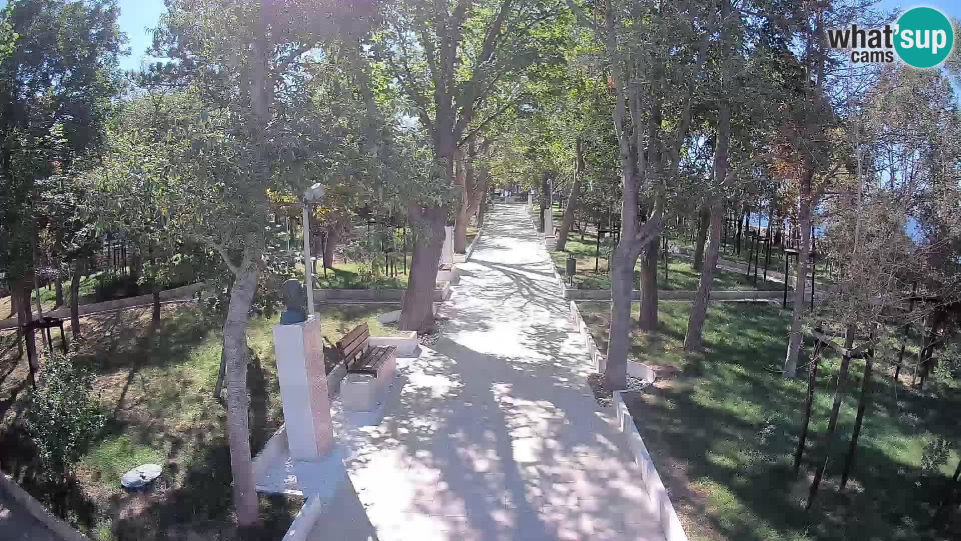Webcam Parco degli Scrittori Segna – Diretta sul Mare