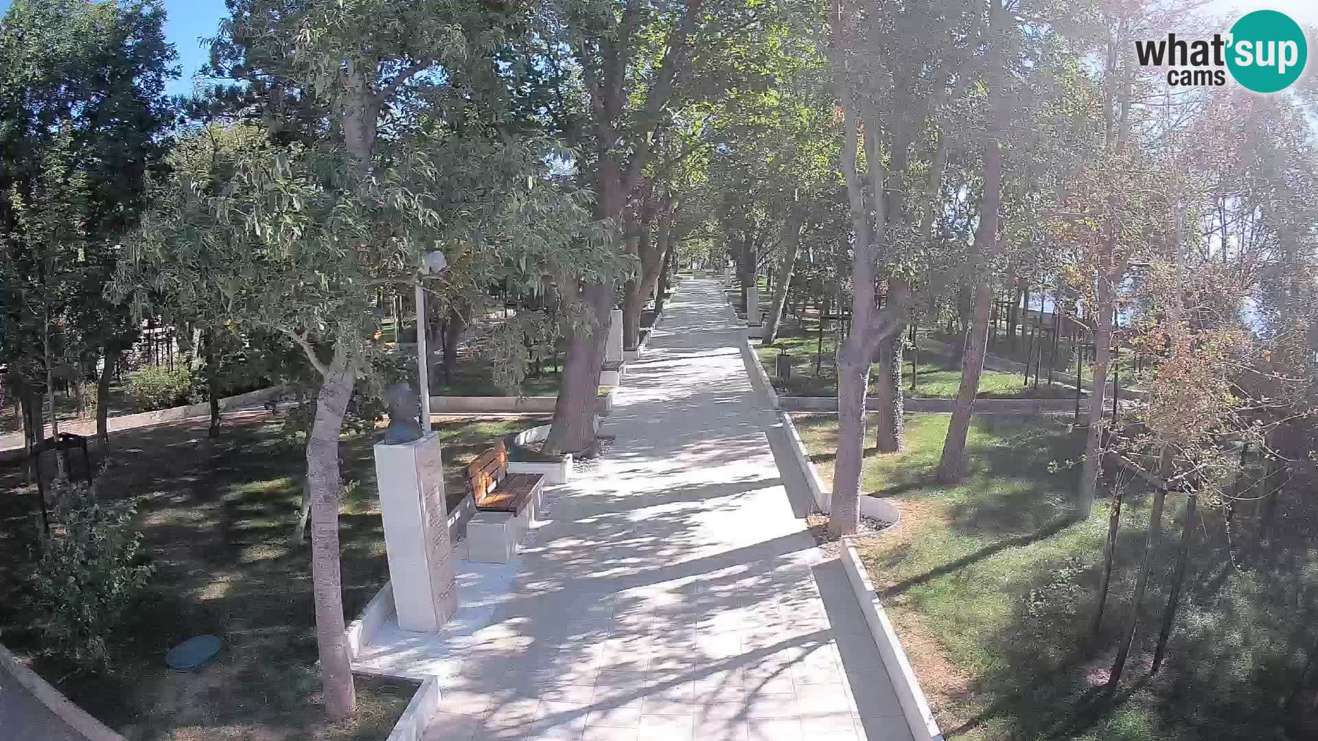 Webcam Parco degli Scrittori Segna – Diretta sul Mare