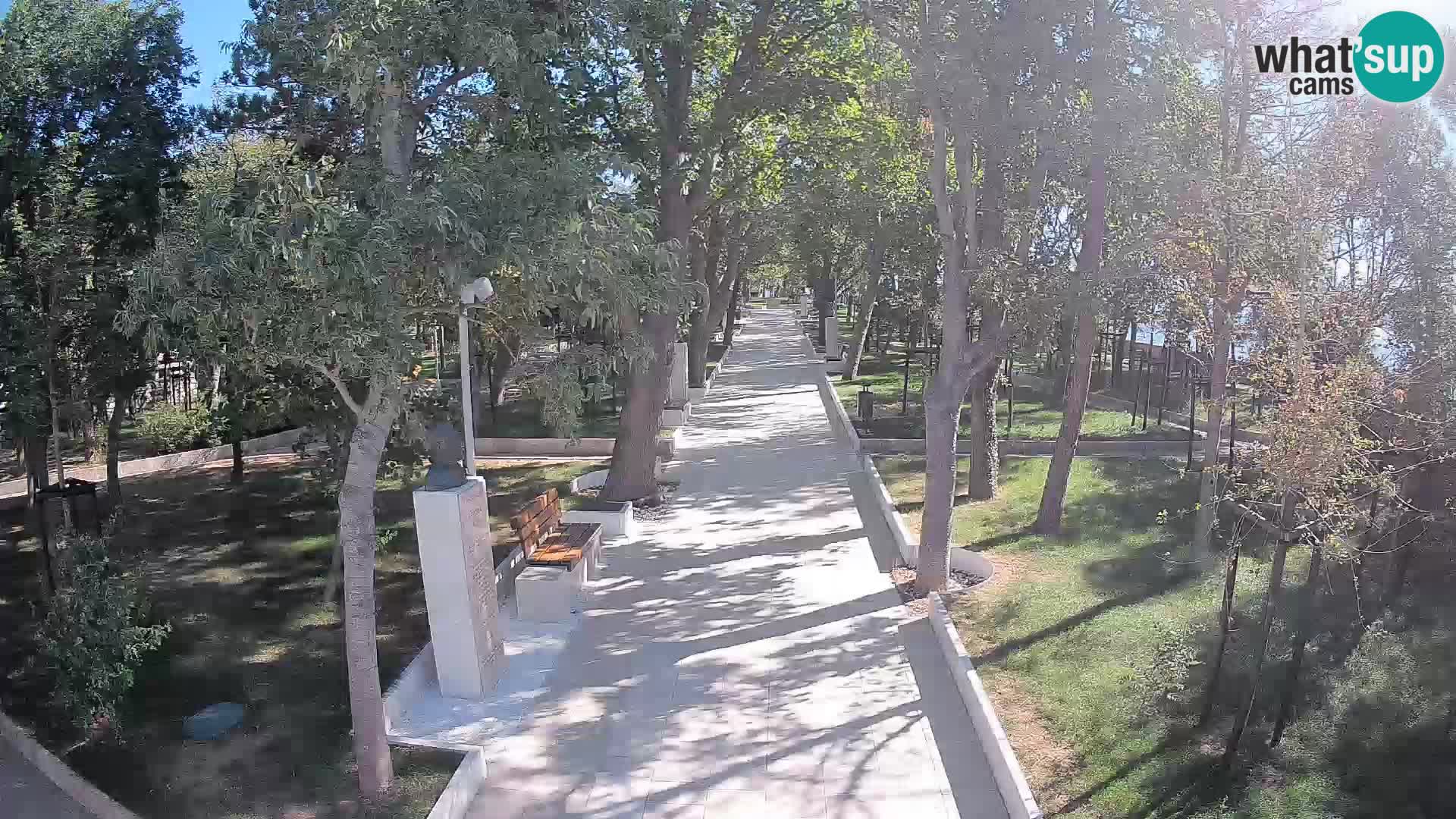 Webcam Parco degli Scrittori Segna – Diretta sul Mare